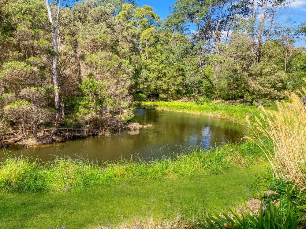 Lot 1 Smiths Lane, ST HELENS, TAS 7216, St Helens - Thumbnail 3