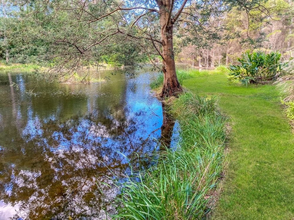Lot 1 Smiths Lane, ST HELENS, TAS 7216, St Helens - Thumbnail 6