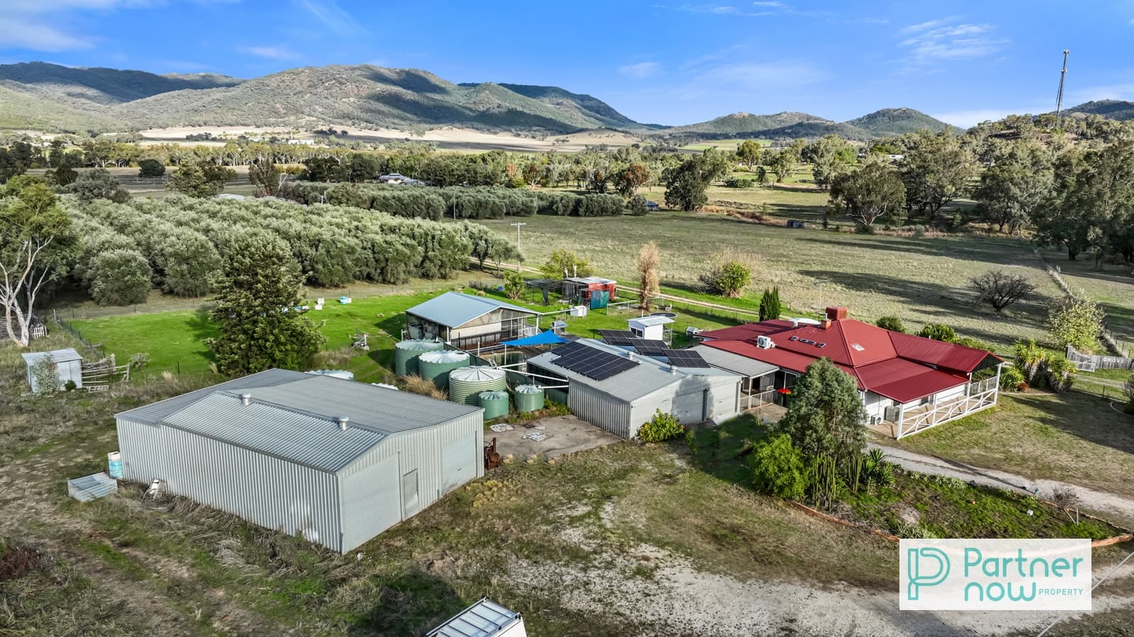 1498 New England Highway, KOOTINGAL NSW 2352, Kootingal - Thumbnail 2