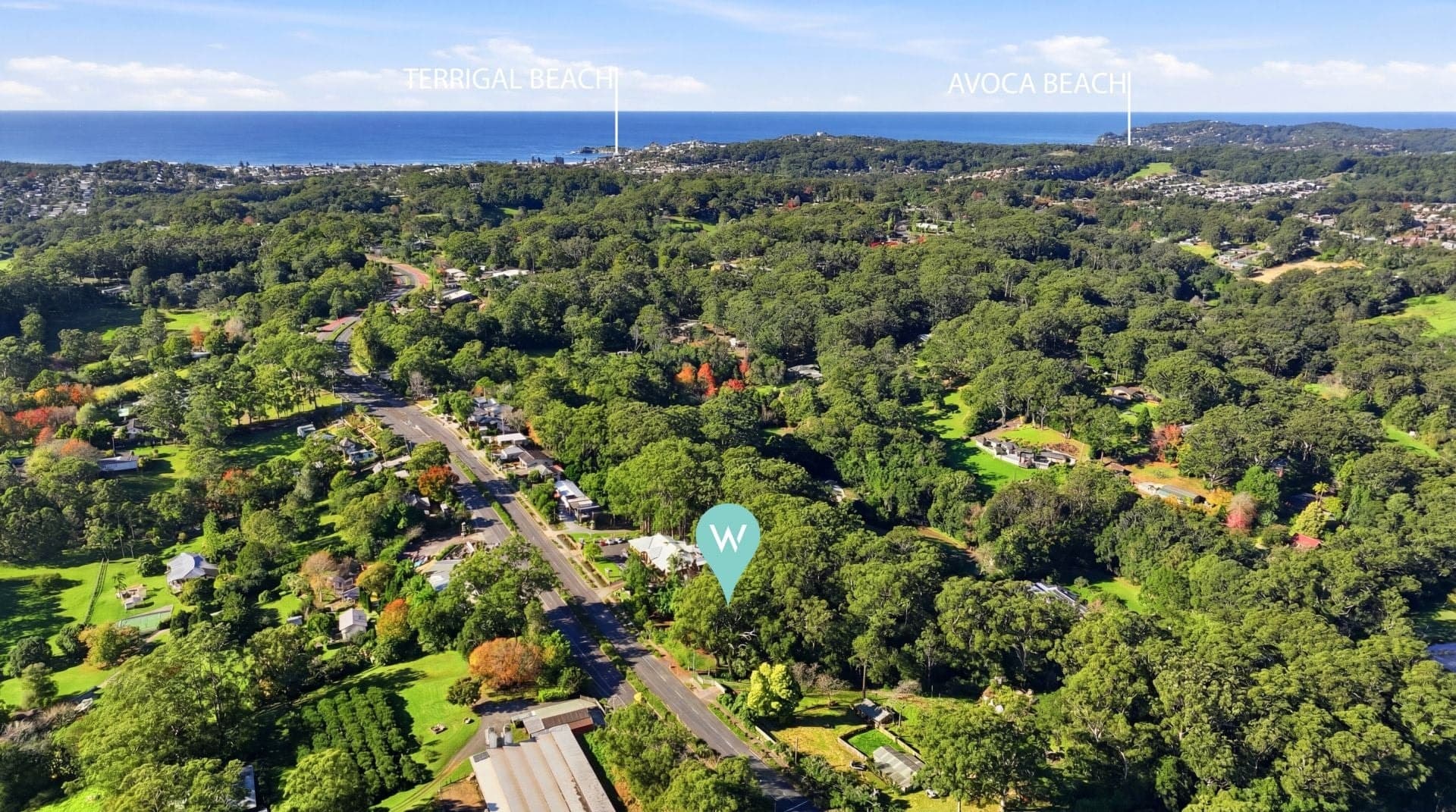 408 The Entrance Road Erina Heights NSW, Erina Heights - Thumbnail 6