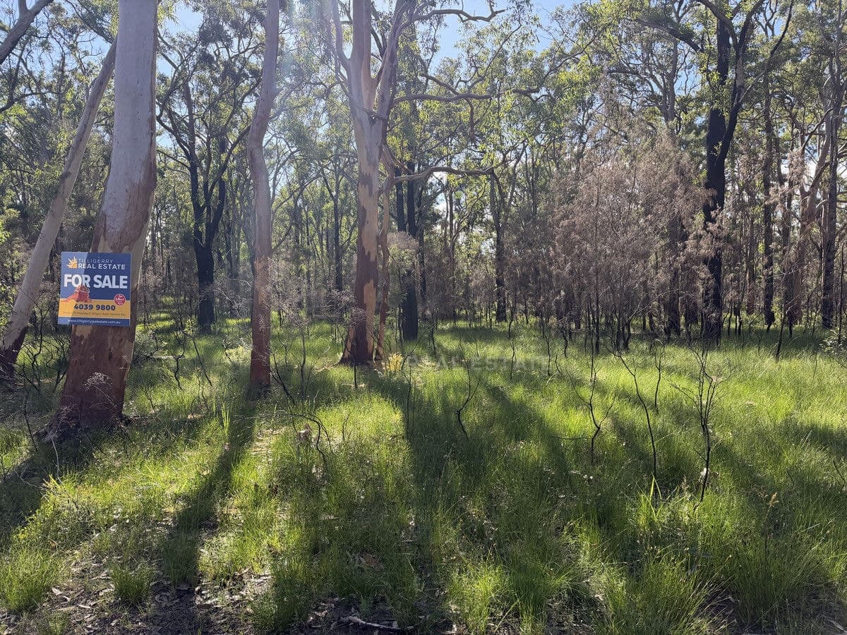 Lot 2927 Glen Innes Road, North Arm Cove NSW 2324, North Arm Cove - Image 1