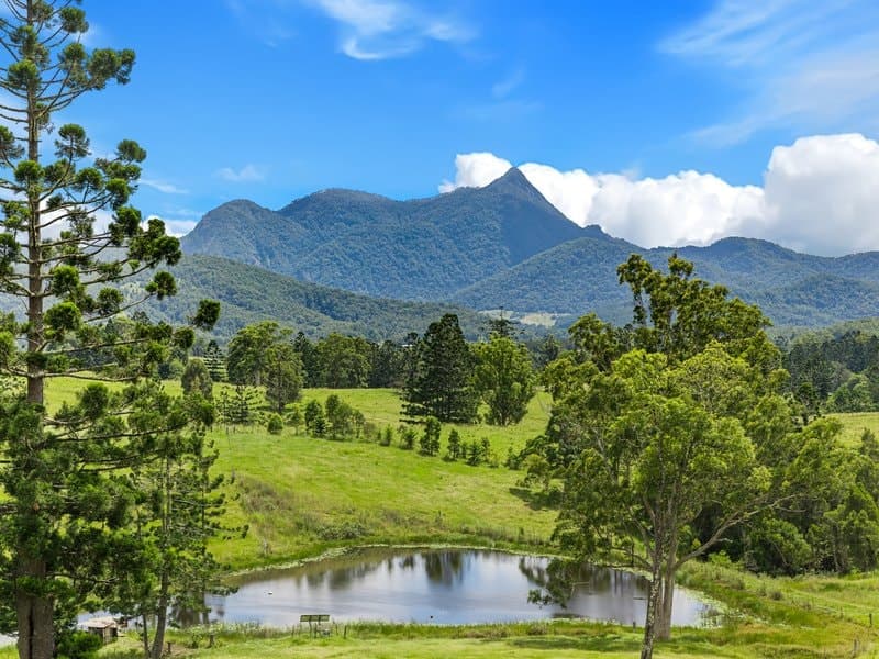 24 Midginbil Road, Murwillumbah NSW 2484, Murwillumbah - Image 1