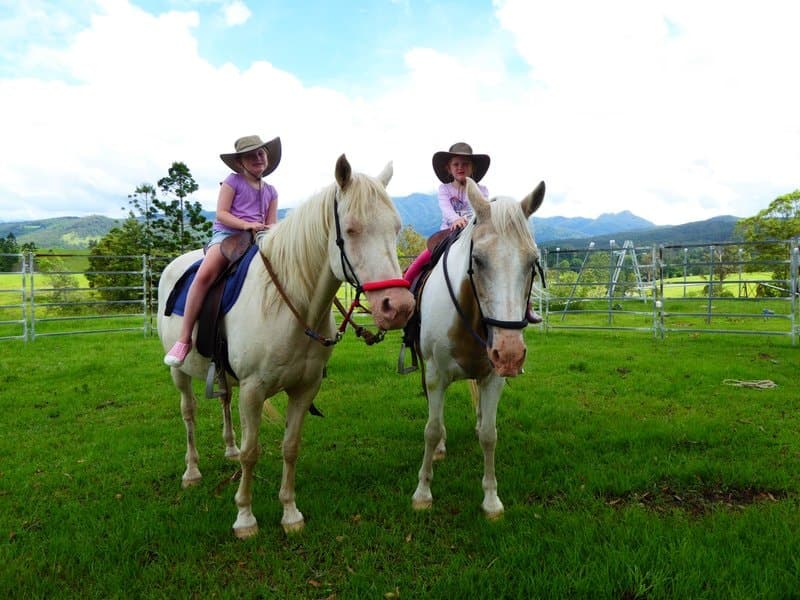 24 Midginbil Road, Murwillumbah NSW 2484, Murwillumbah - Thumbnail 2