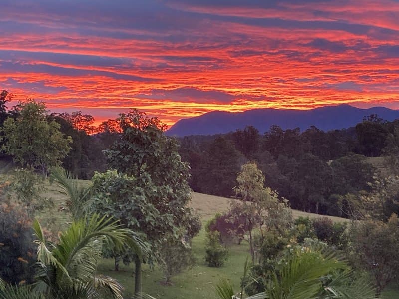 24 Midginbil Road, Murwillumbah NSW 2484, Murwillumbah - Thumbnail 4