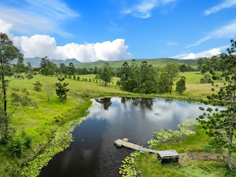 24 Midginbil Road, Murwillumbah NSW 2484, Murwillumbah - Thumbnail 7