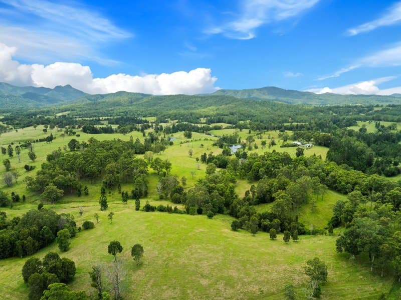 24 Midginbil Road, Murwillumbah NSW 2484, Murwillumbah - Thumbnail 8