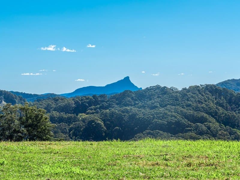 Lot 4/336 Tweed Valley Way, Wooyung NSW 2483, Wooyung - Thumbnail 5