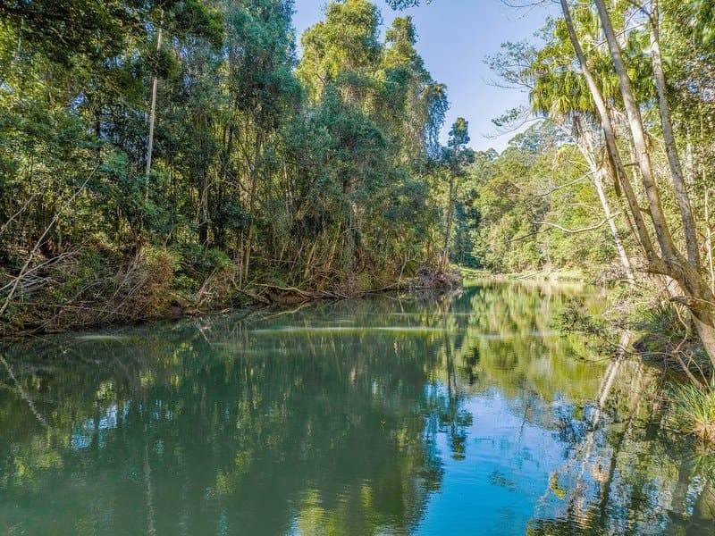 63 Parmenters Road, Wilsons Creek NSW 2482, Wilsons Creek - Thumbnail 3