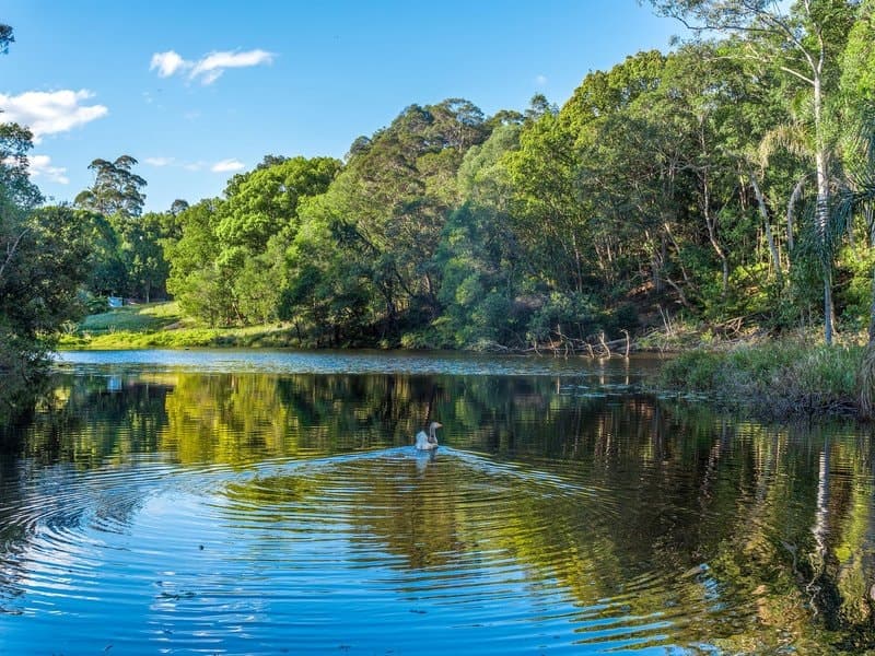 Lot 5/336 Tweed Valley Way, Wooyung NSW 2483, Wooyung - Image 1