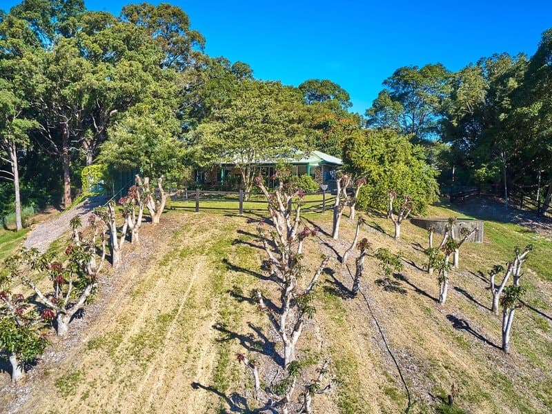 1 Hulls Road, Crabbes Creek NSW 2483, Crabbes Creek - Thumbnail 6