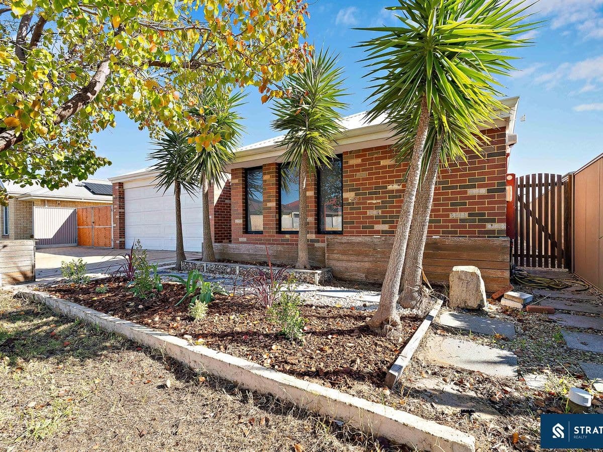 407 Balfour Street, Southern River, Southern River - Thumbnail 4
