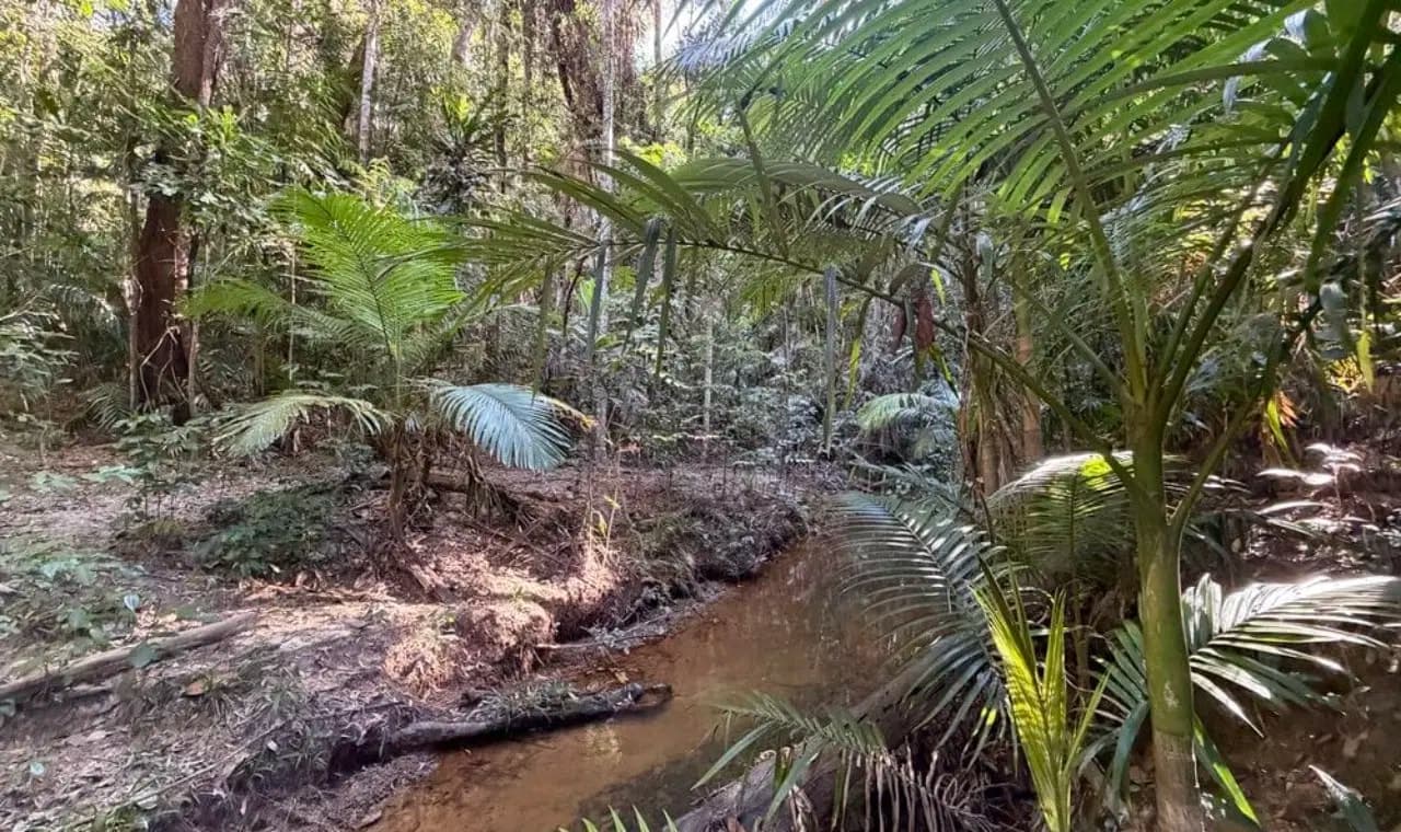 Lot 35 Kingfisher Drive, Kuranda, Qld 4881, Kuranda, - Image 1