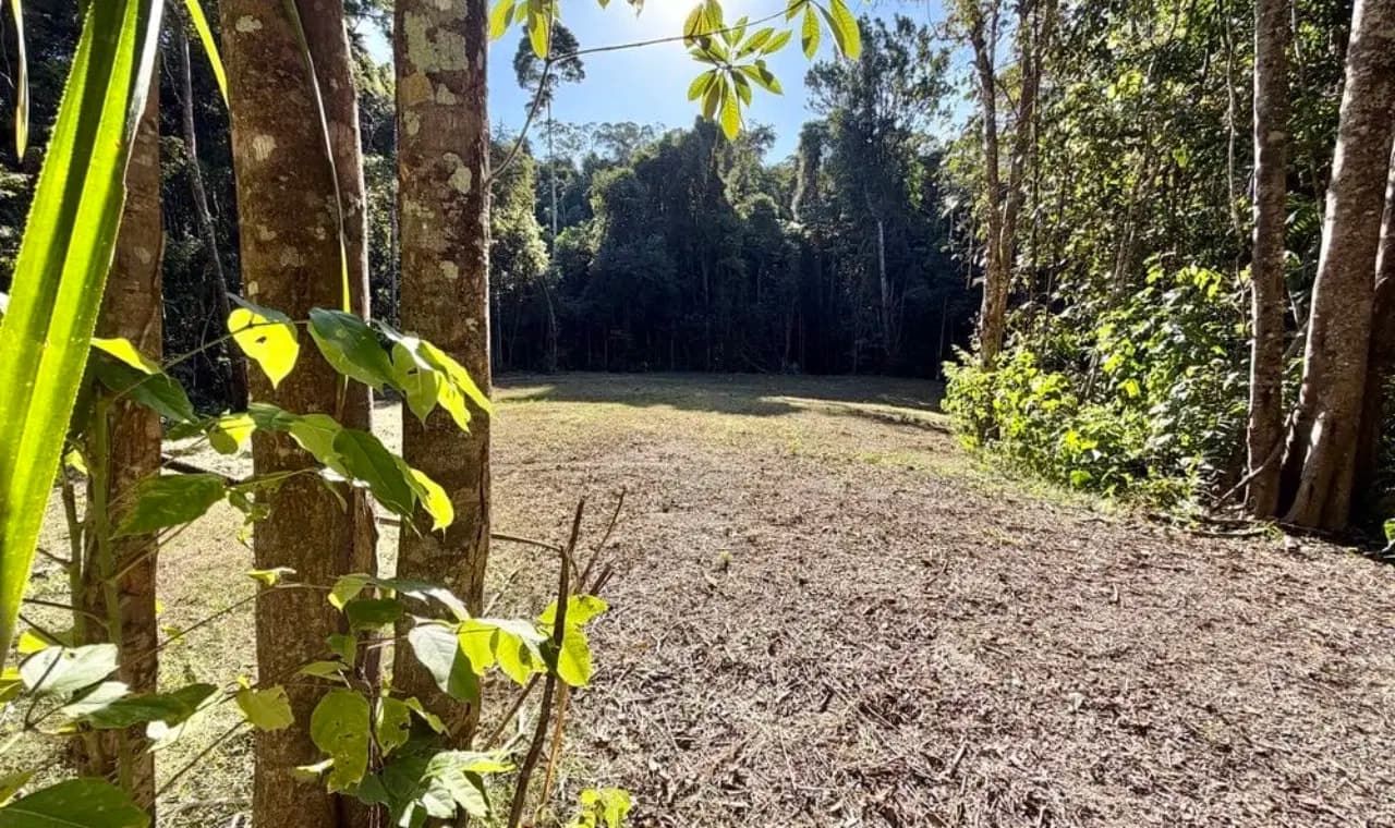 Lot 35 Kingfisher Drive, Kuranda, Qld 4881, Kuranda - Thumbnail 4