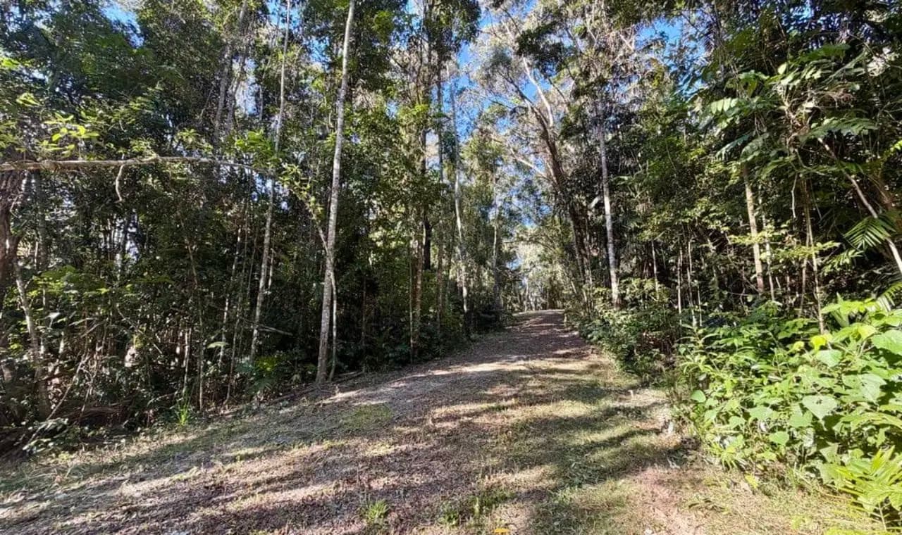 Lot 35 Kingfisher Drive, Kuranda, Qld 4881, Kuranda - Thumbnail 5