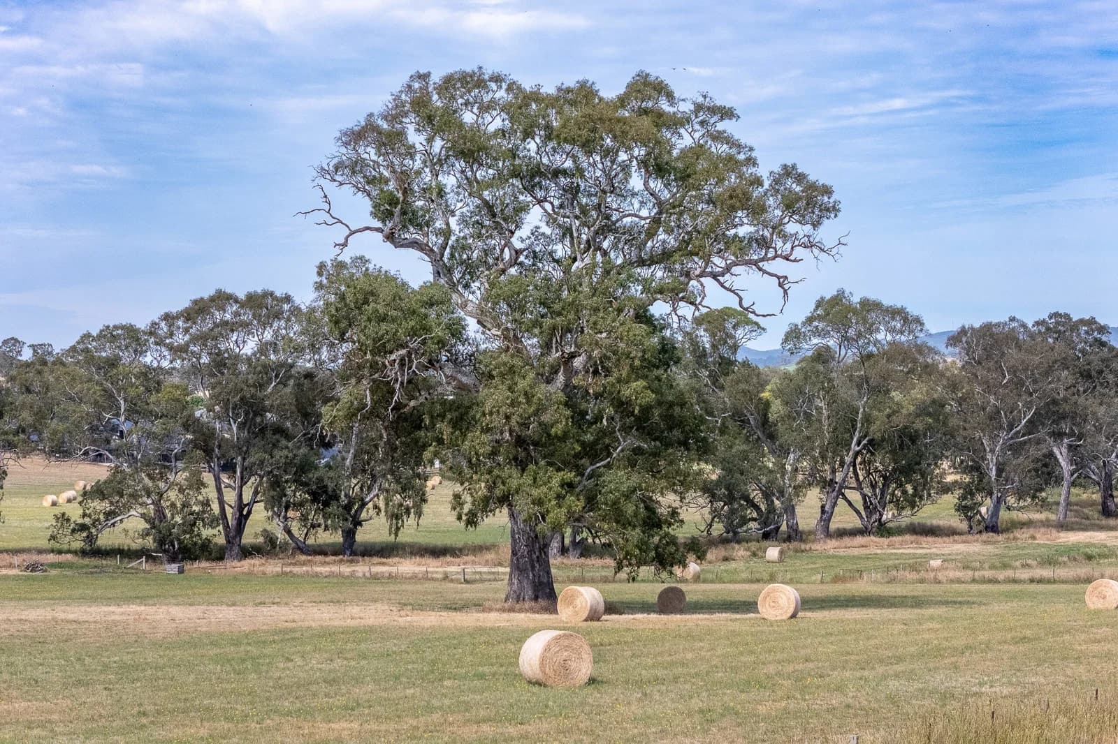 Lot 21 Newman Road, Charleston - Thumbnail 3