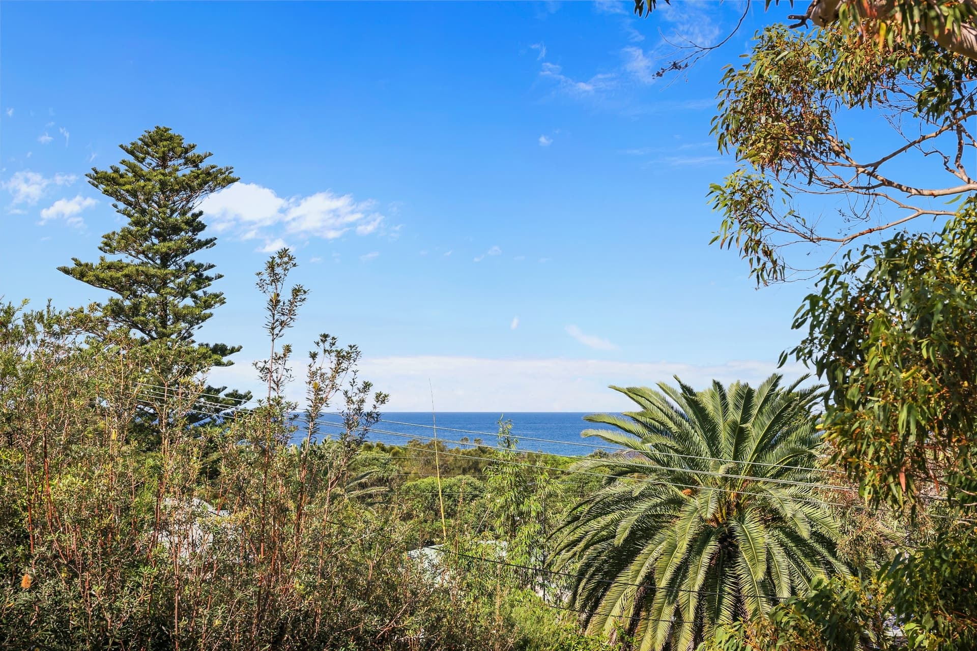 54A Central Road Avalon Beach NSW, Avalon Beach - Thumbnail 7