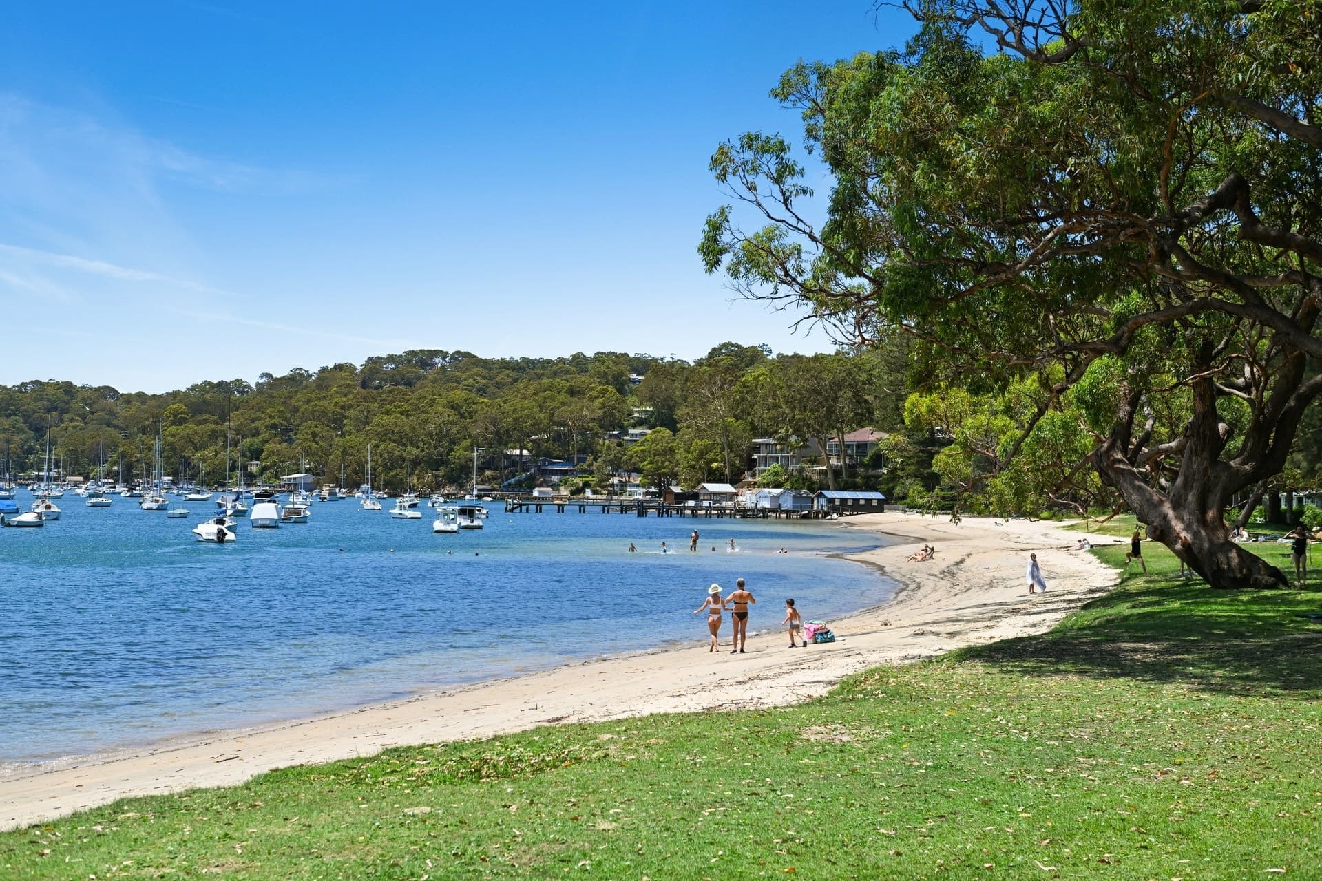 Flat 1/134 Hudson Parade, Avalon Beach, Avalon Beach - Thumbnail 2