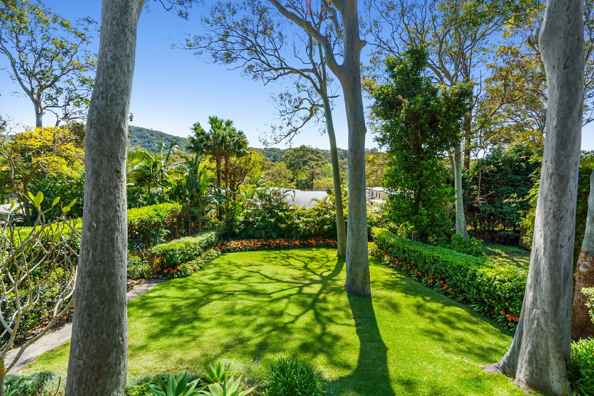 24 Elouera Road Avalon Beach NSW, Avalon Beach - Image 1