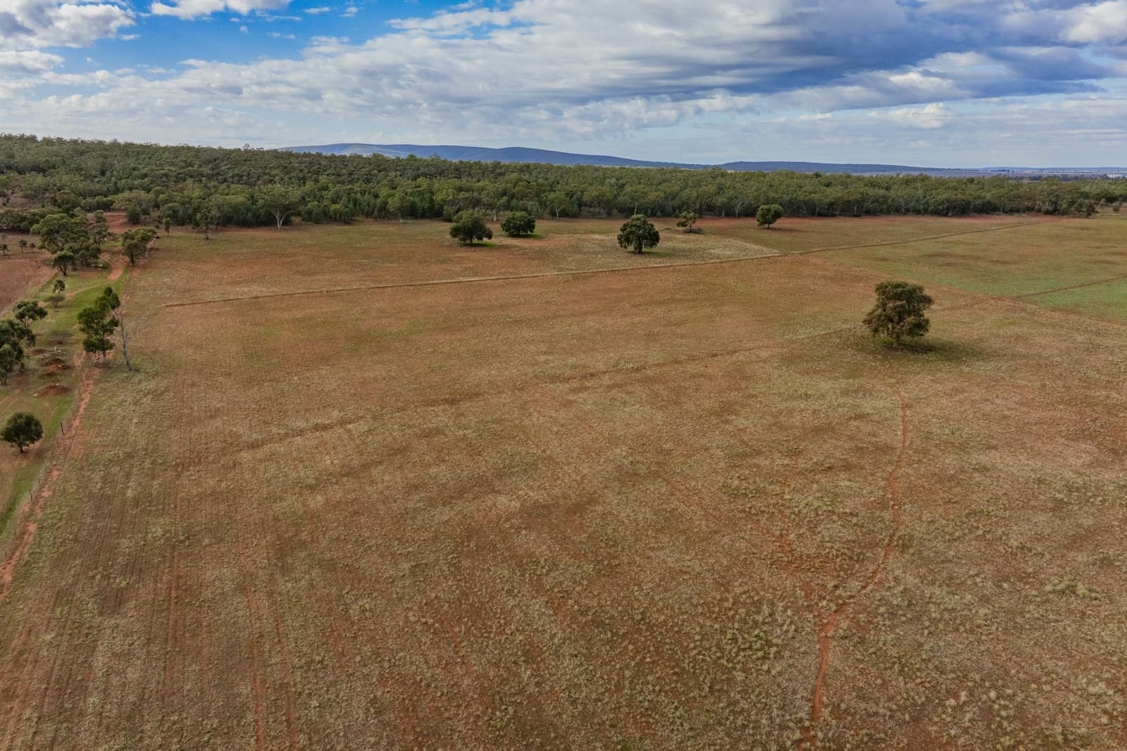 380 Brobenah Hall Road, LEETON, Leeton - Thumbnail 3