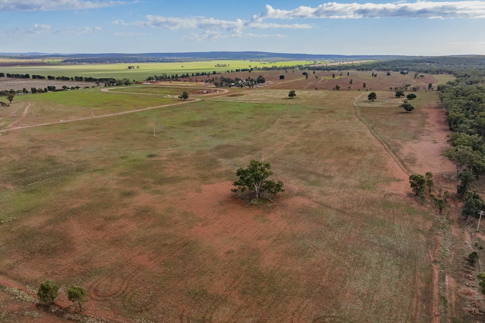380 Brobenah Hall Road, LEETON, Leeton - Thumbnail 4