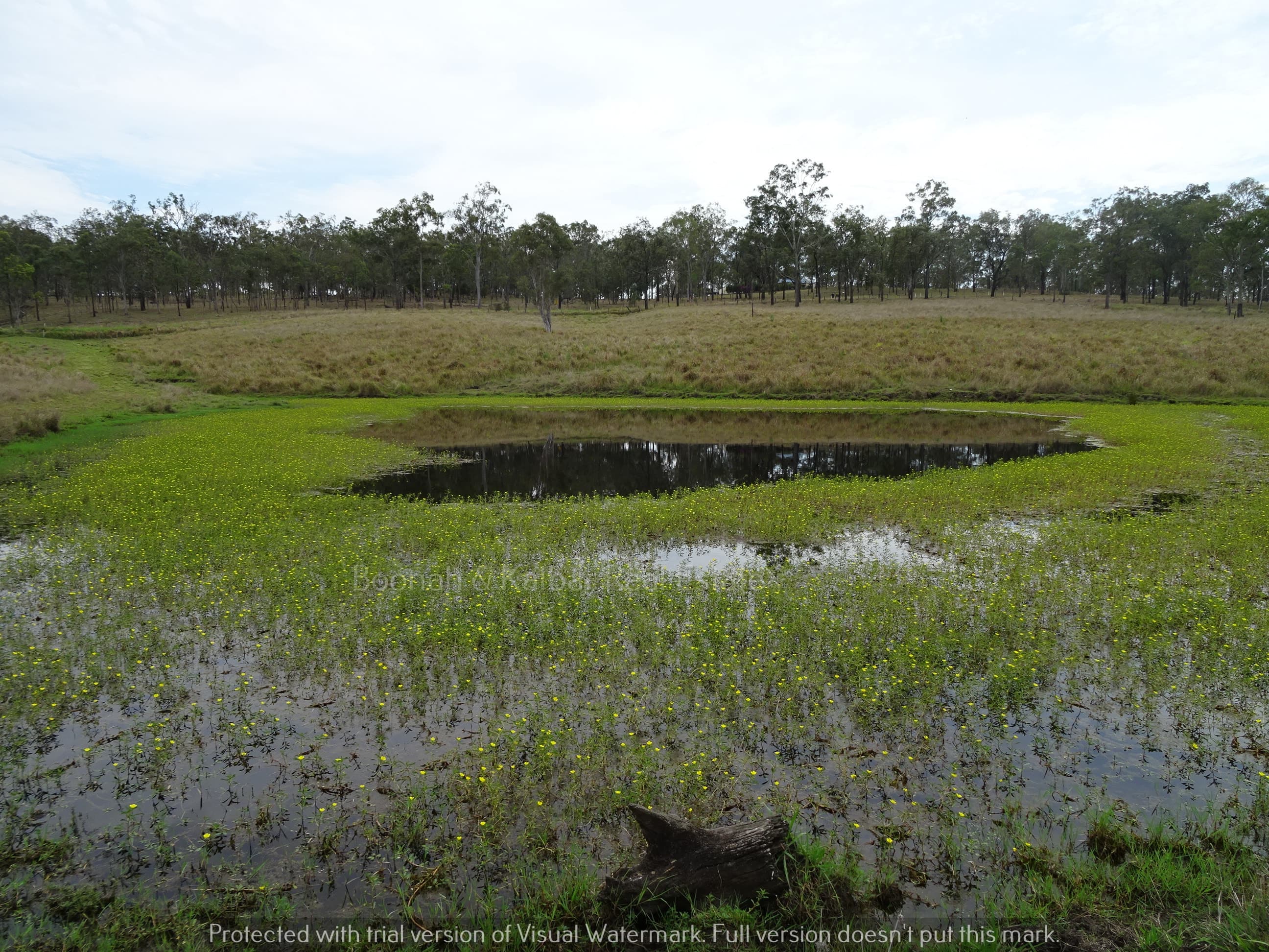 Lot 10 Roadvale Harrisville Road, Roadvale - Thumbnail 2