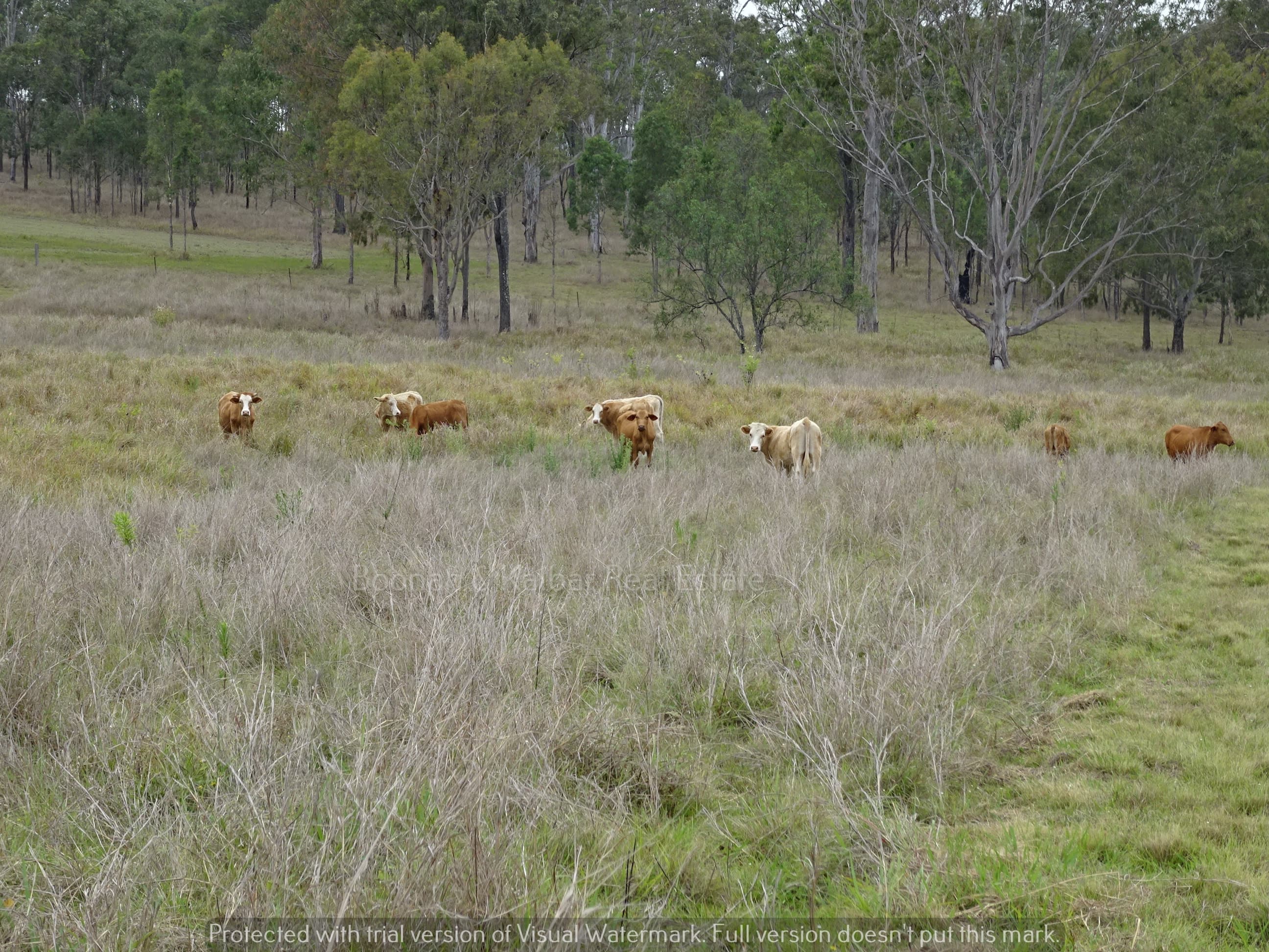 Lot 10 Roadvale Harrisville Road, Roadvale - Thumbnail 6
