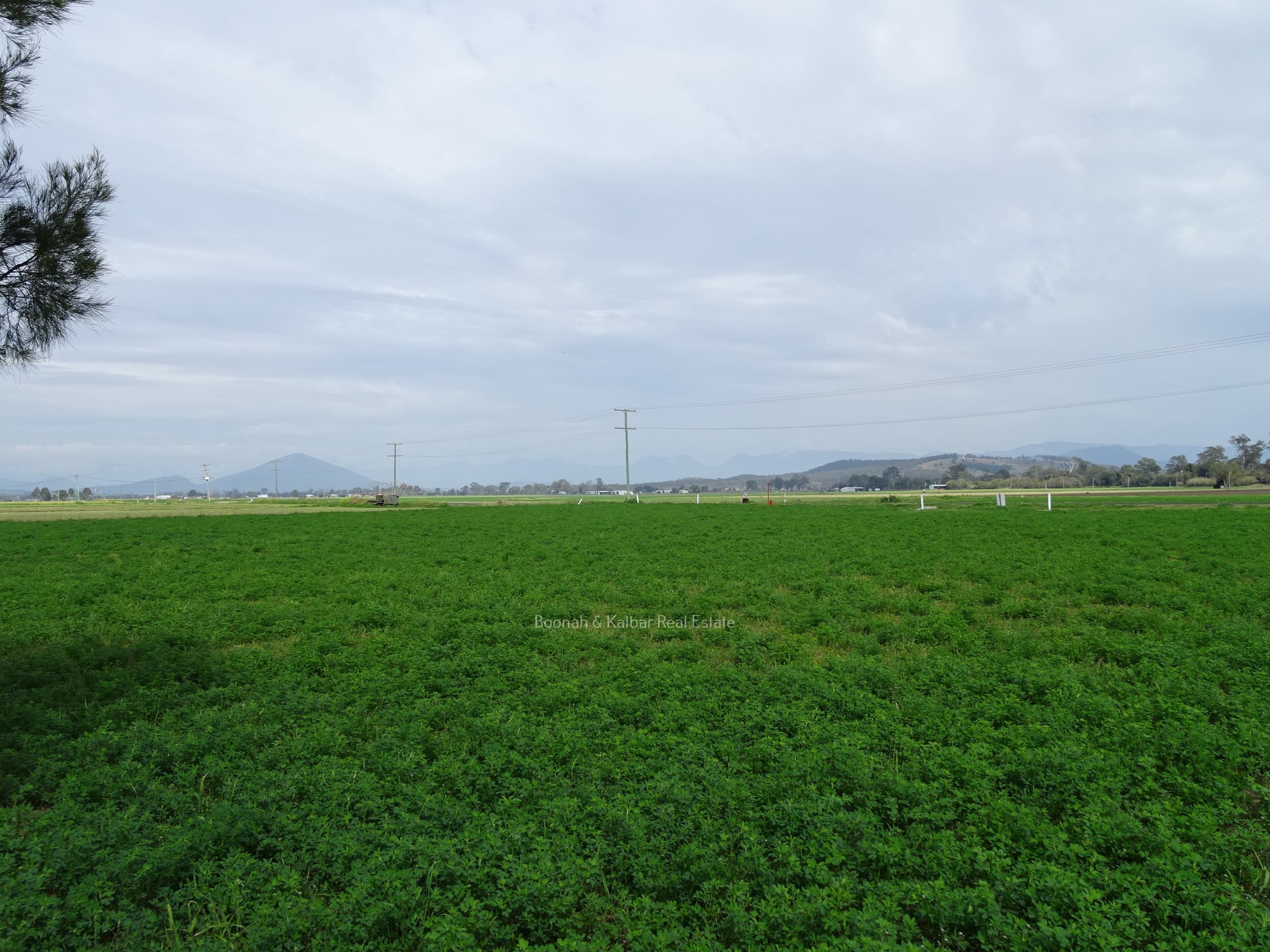 Lot 91 Kents Lagoon Road, Kalbar - Thumbnail 4