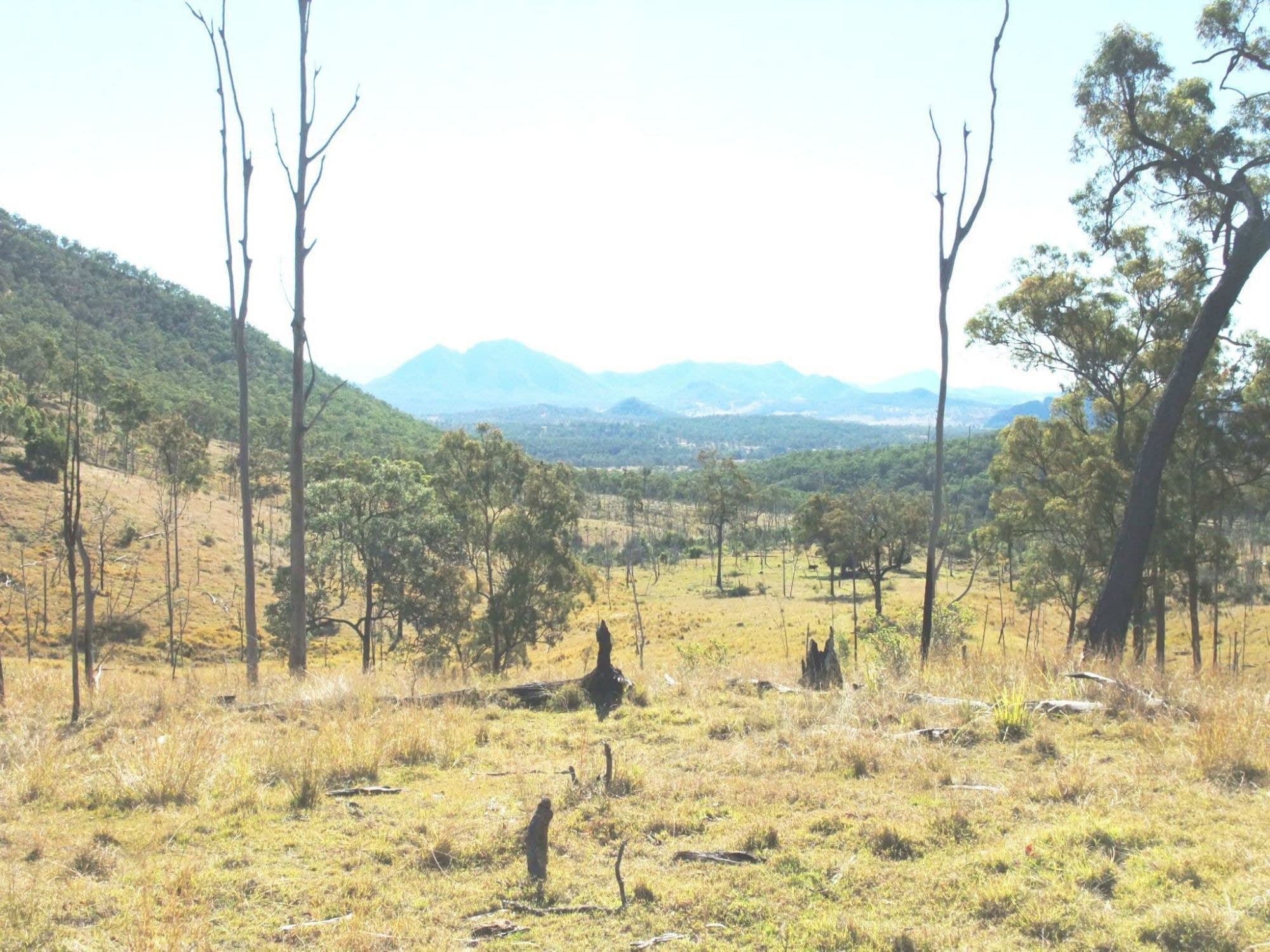 Lot 2 OFF SAWATZKI Road, Croftby - Thumbnail 2