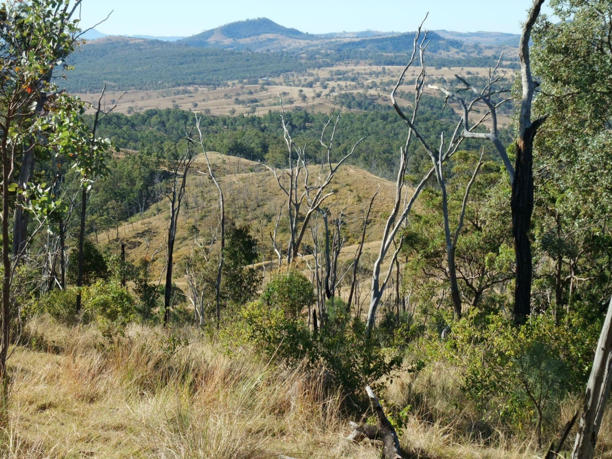Lot 2 OFF SAWATZKI Road, Croftby - Thumbnail 4