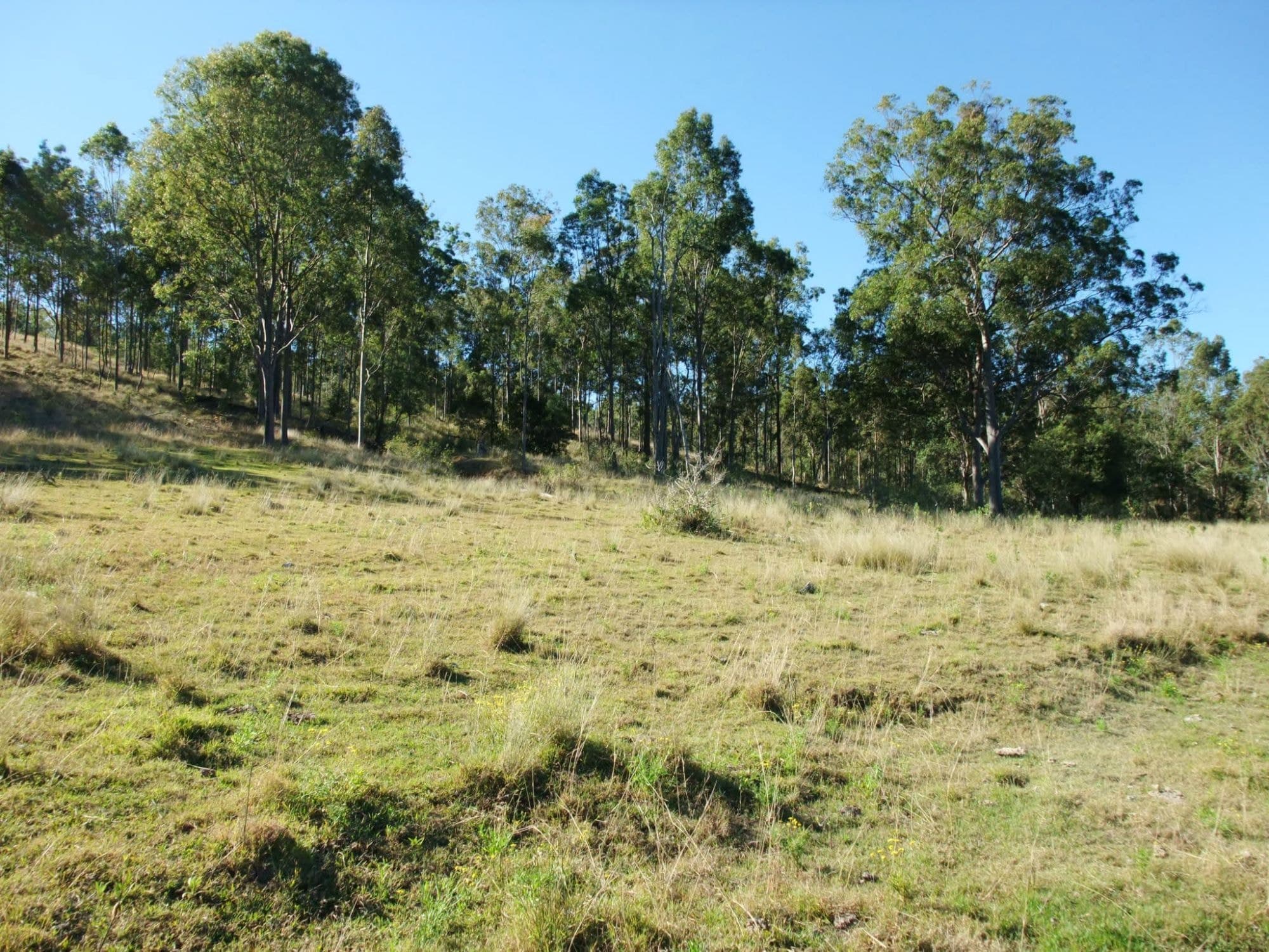 Lot 2 OFF SAWATZKI Road, Croftby - Thumbnail 7