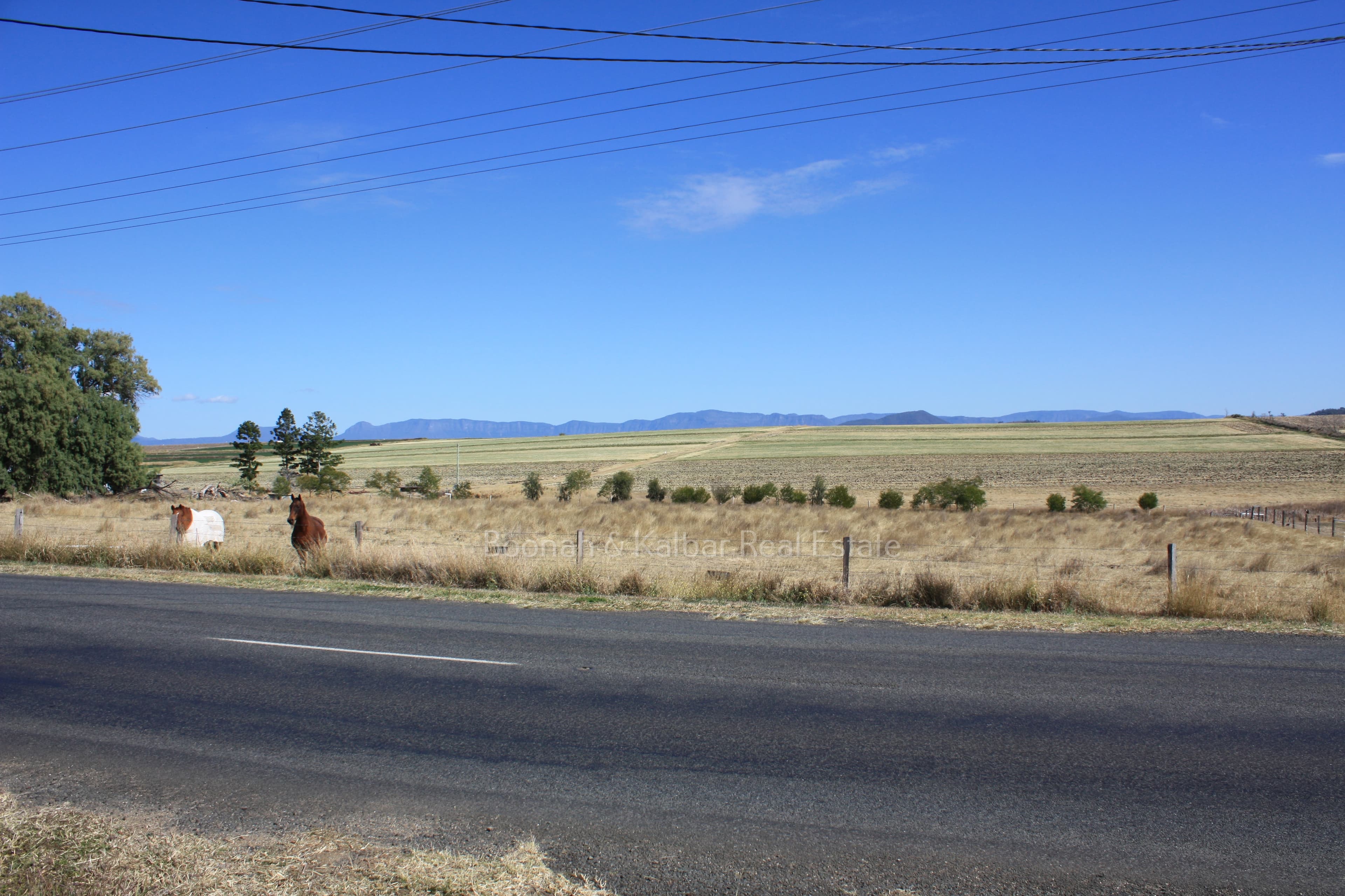 Lot 5 Kalbar Connection Road, Kalbar, Kalbar - Thumbnail 2