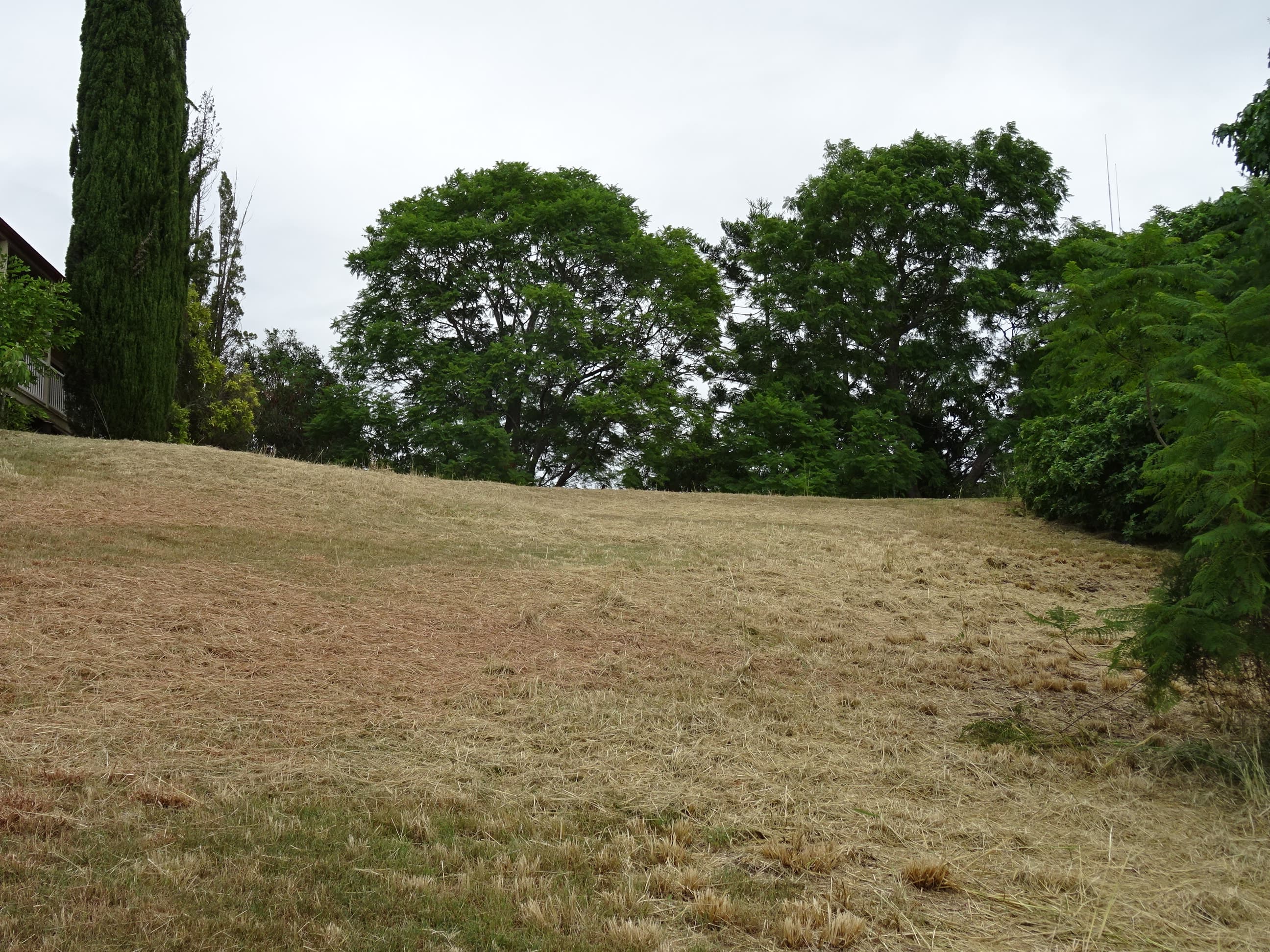 Lot 8 James Street, Boonah - Image 1