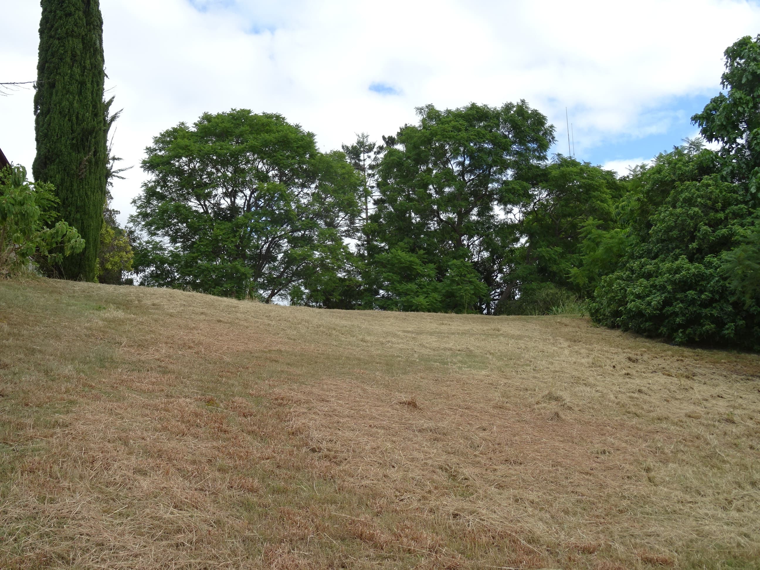 Lot 8 James Street, Boonah - Thumbnail 5