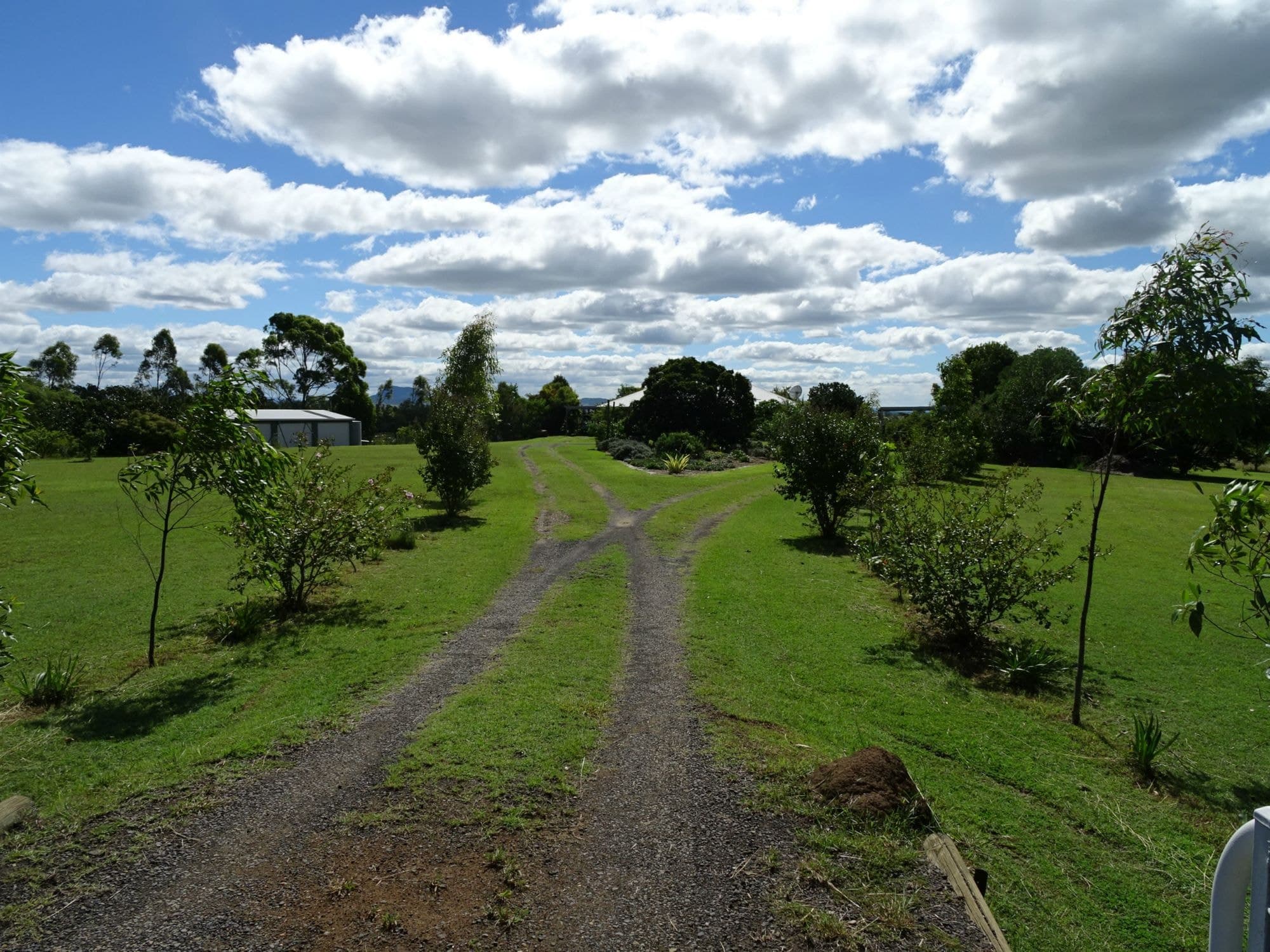 166 Anthony Road, Kalbar, Kalbar - Thumbnail 5