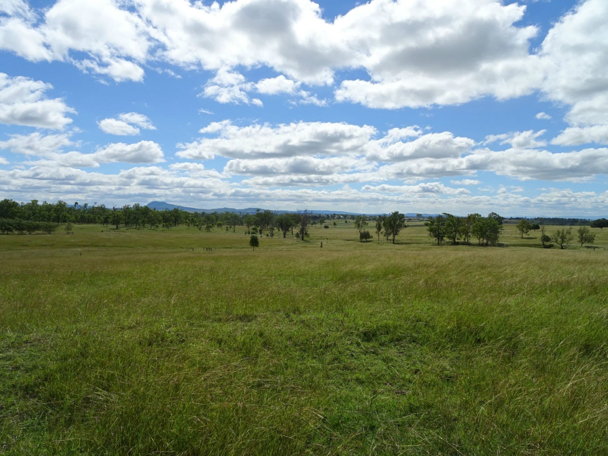 166 Anthony Road, Kalbar, Kalbar - Thumbnail 8