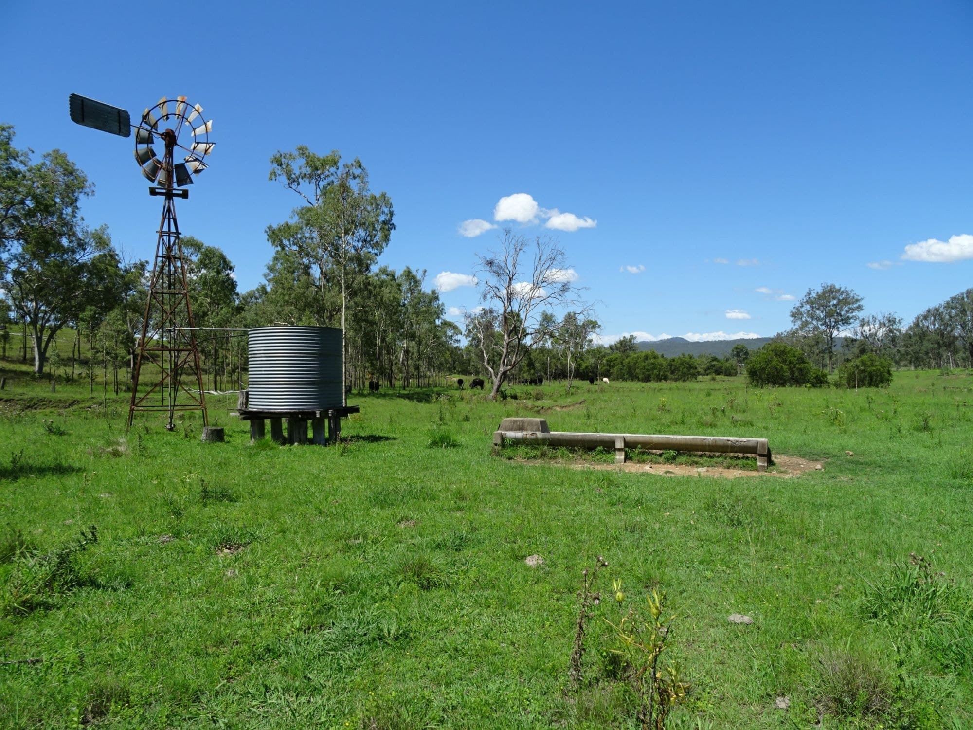 Lot 100 BROADGULLY Road, Boonah - Image 1