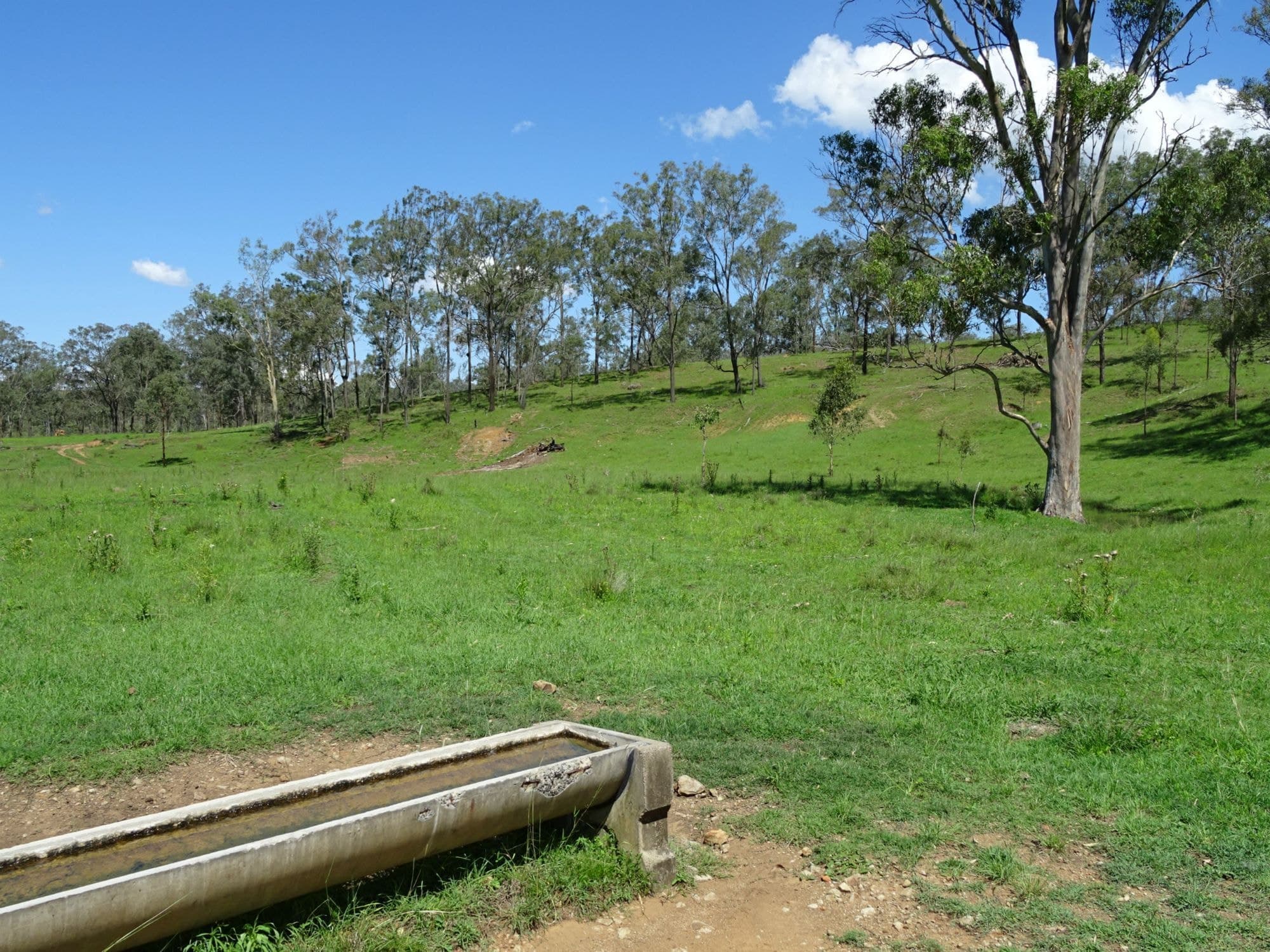 Lot 100 BROADGULLY Road, Boonah - Thumbnail 2