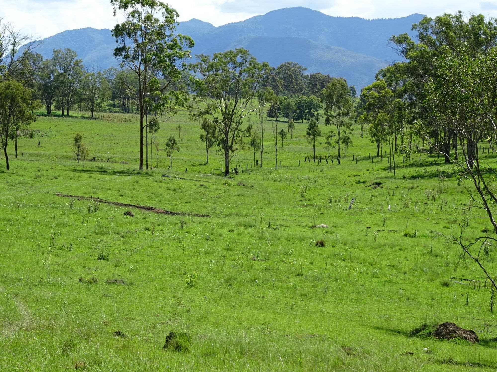 Lot 100 BROADGULLY Road, Boonah - Thumbnail 3