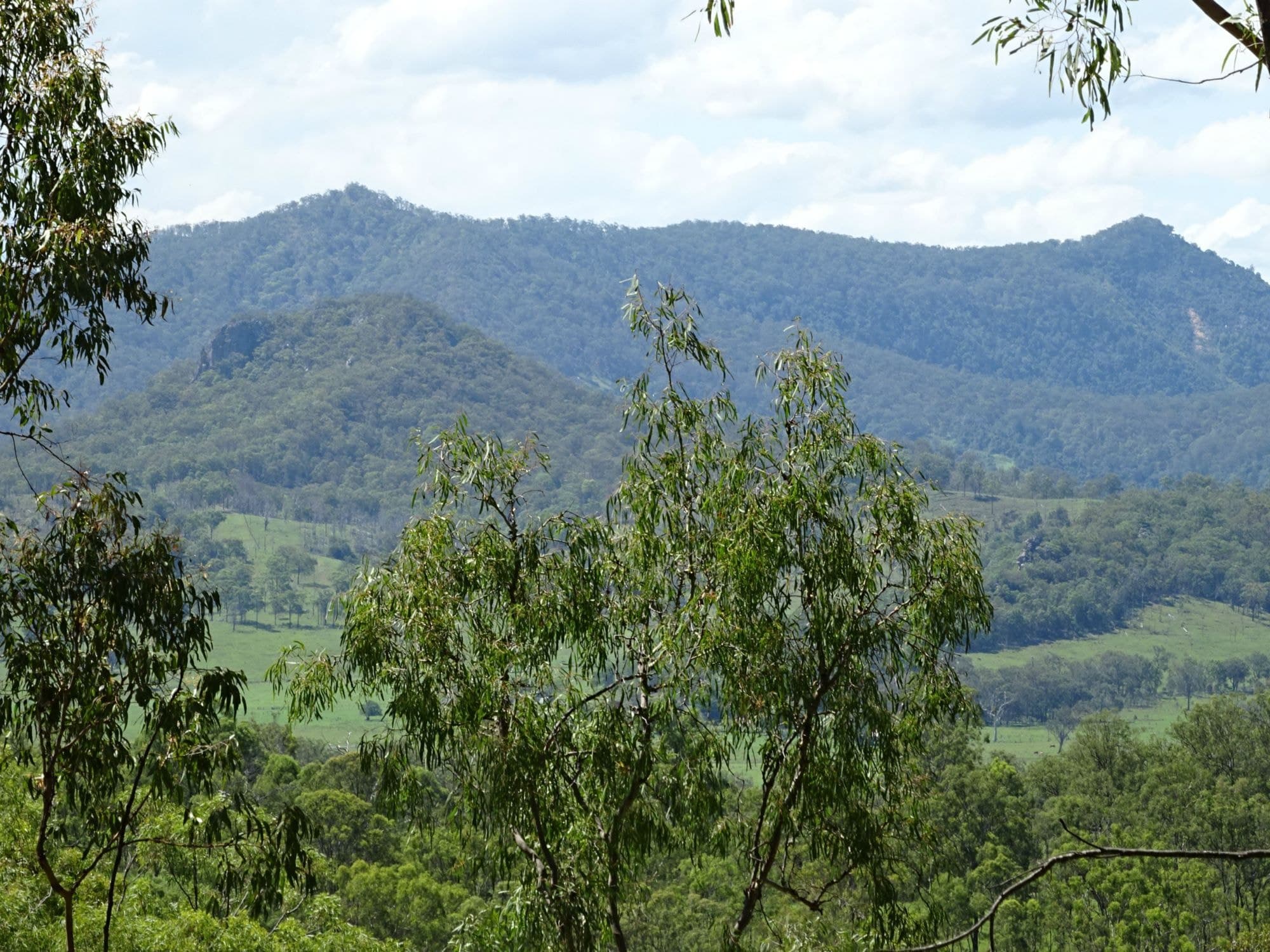 Lot 100 BROADGULLY Road, Boonah - Thumbnail 4