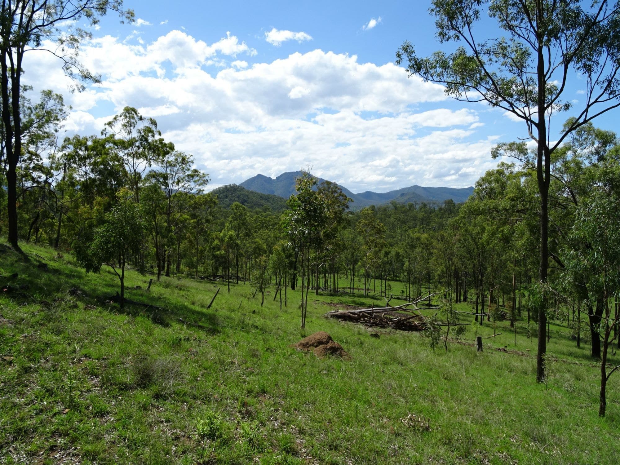 Lot 100 BROADGULLY Road, Boonah - Thumbnail 6