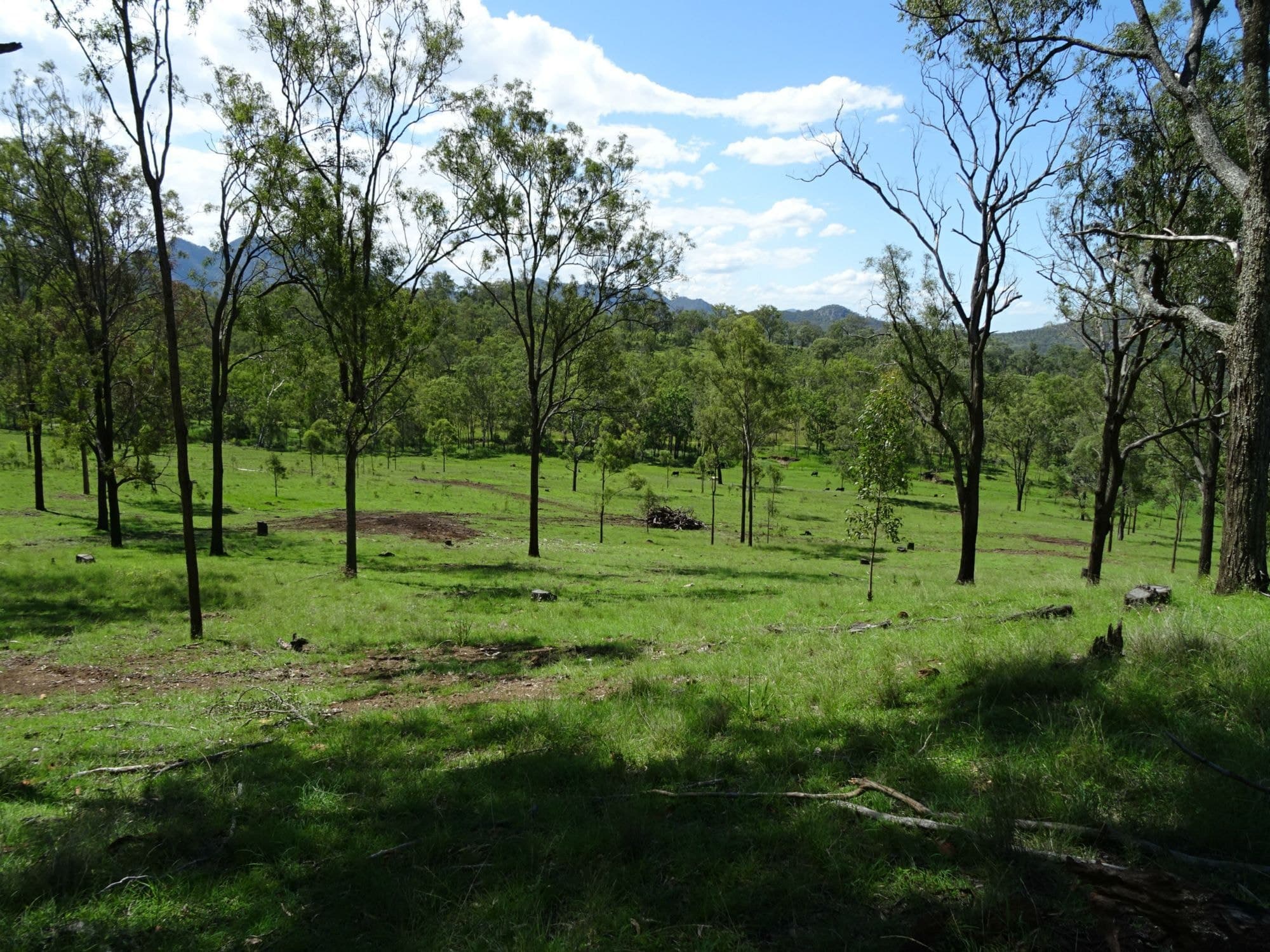 Lot 100 BROADGULLY Road, Boonah - Thumbnail 7