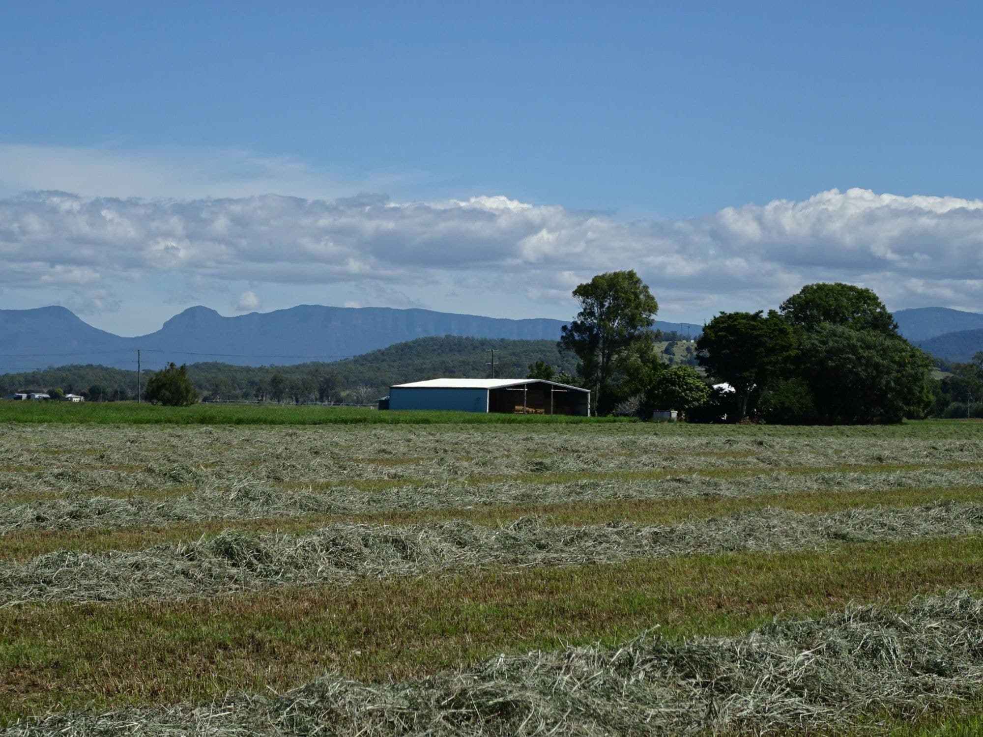 284 Kents Lagoon Road, Kalbar, Kalbar - Thumbnail 6