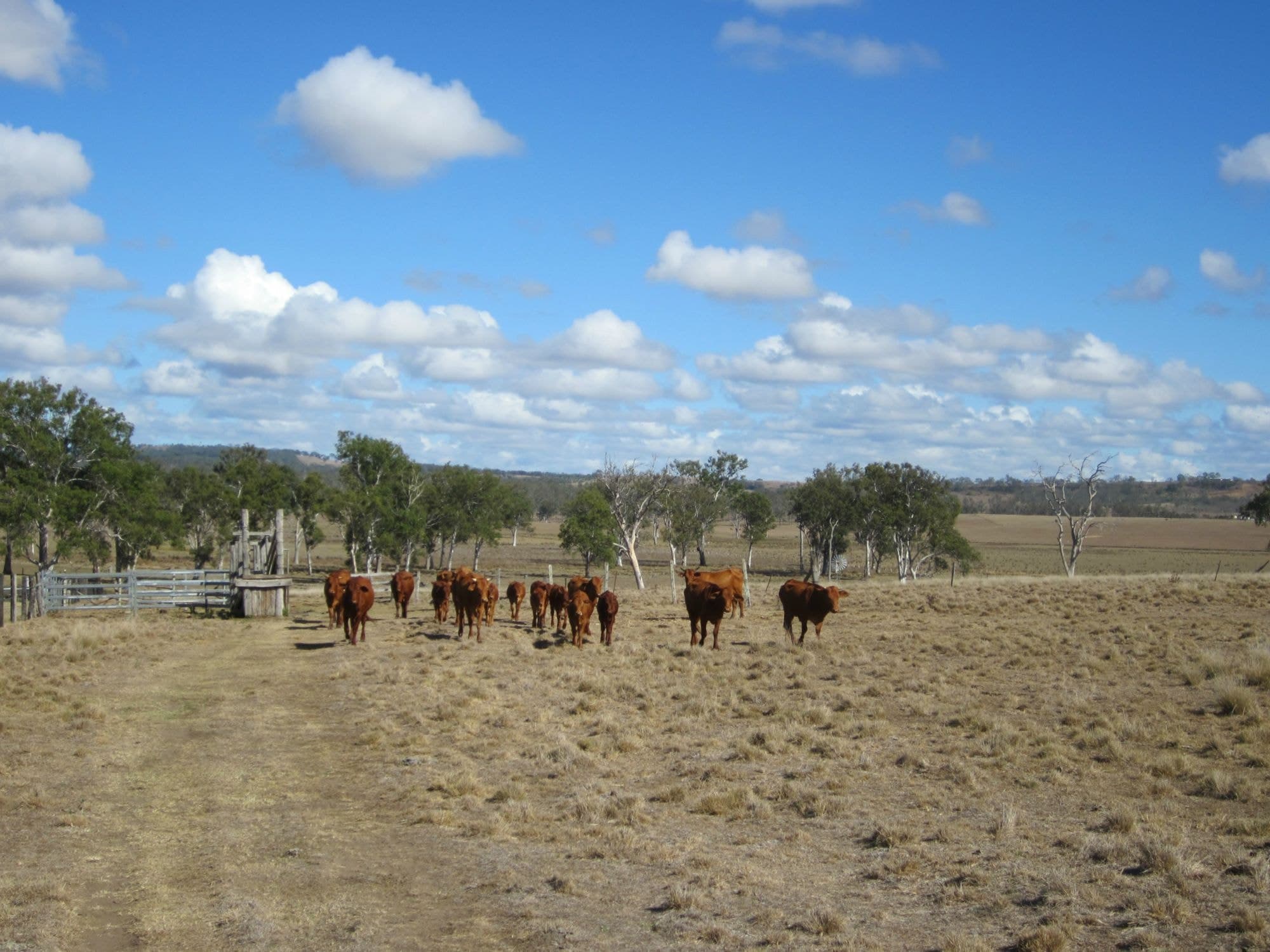 Lot 27 CUNNINGHAM Highway, Warrill View - Thumbnail 3