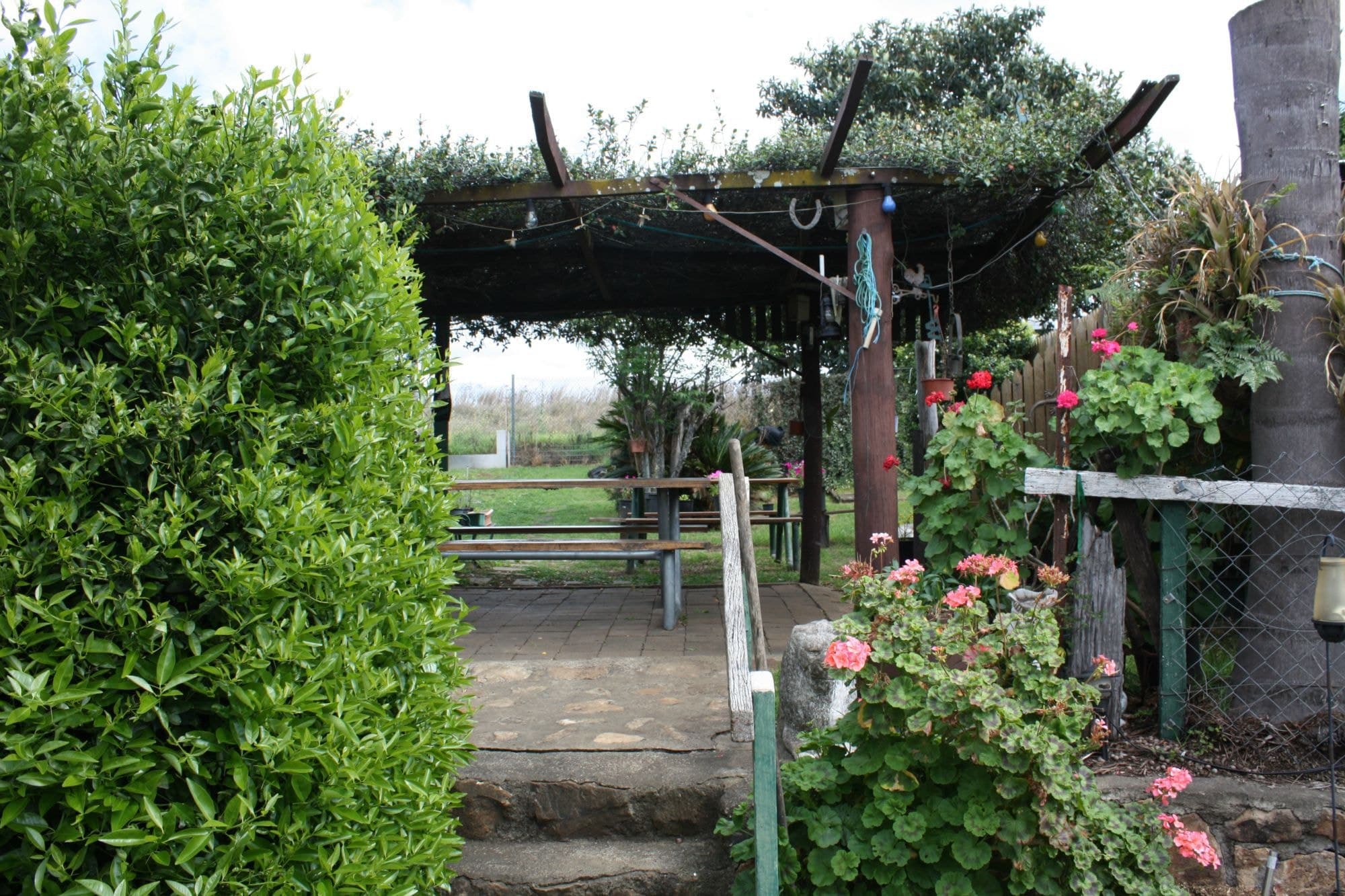 11 Phillip Street, Aratula, Aratula - Thumbnail 4