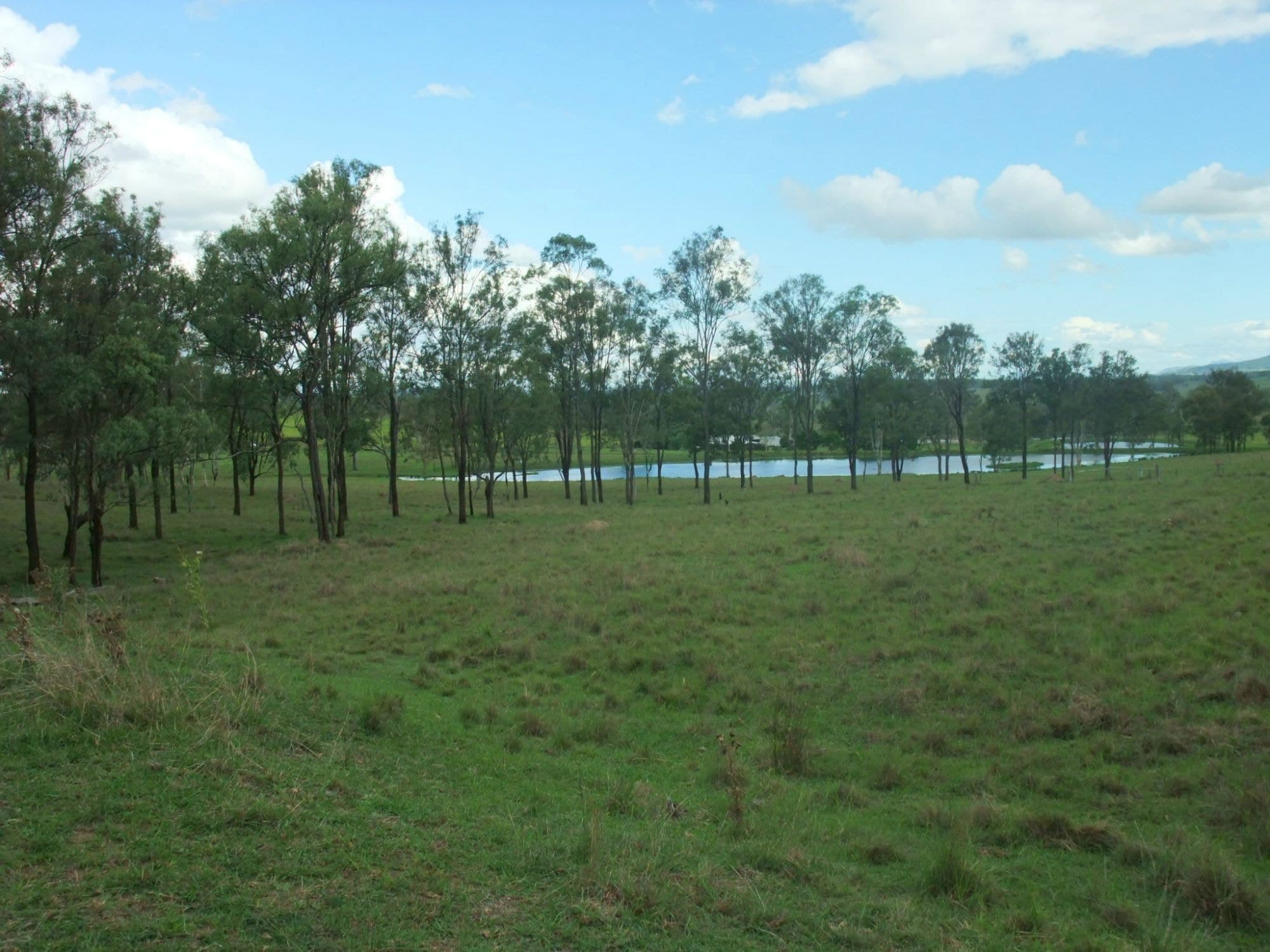 Lot 2 OLD ROSEVALE Road, Warrill View - Thumbnail 2
