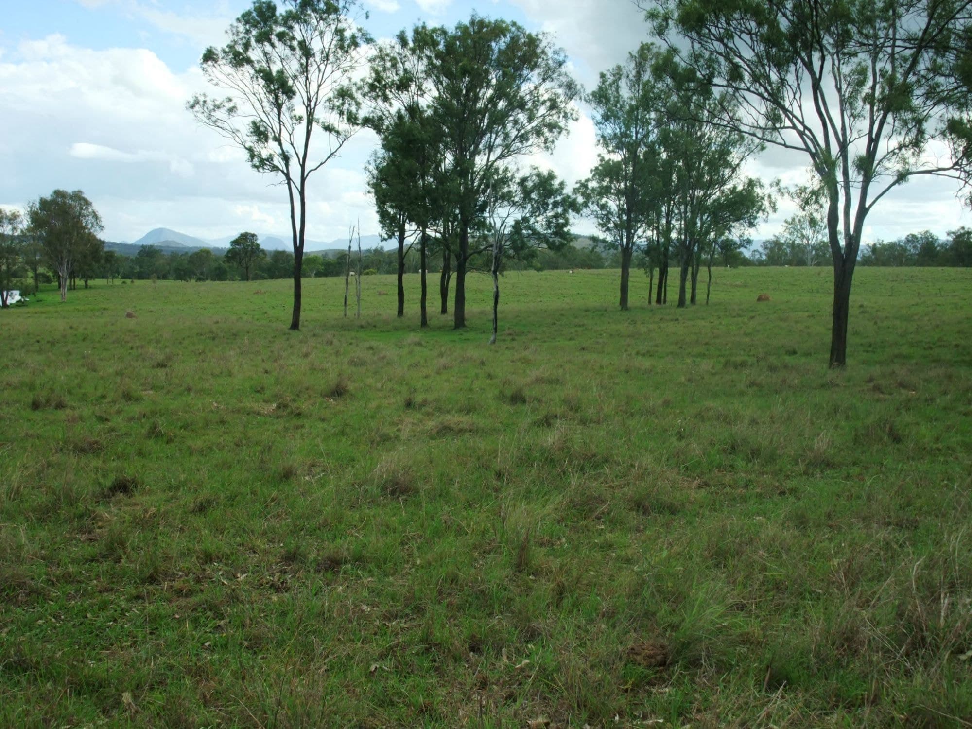 Lot 2 OLD ROSEVALE Road, Warrill View - Thumbnail 3