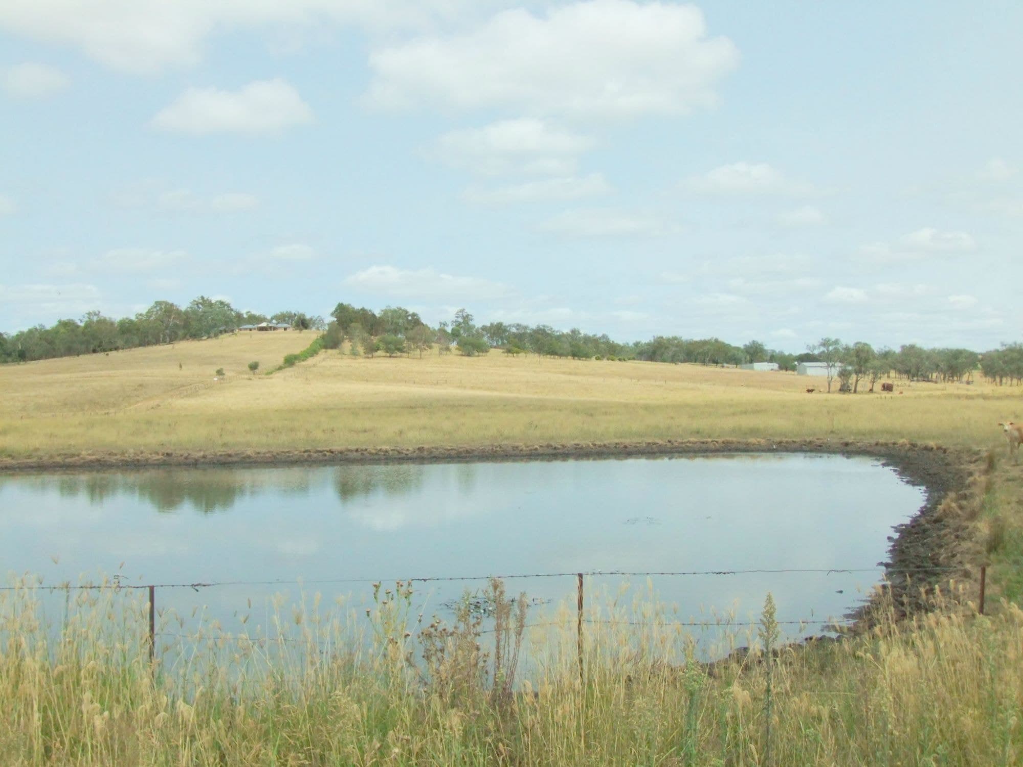 Lot 33 Ipswich Boonah Road, Boonah, Boonah - Thumbnail 4