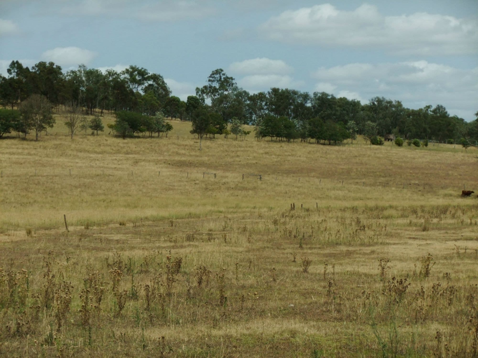 Lot 33 Ipswich Boonah Road, Boonah, Boonah - Thumbnail 5