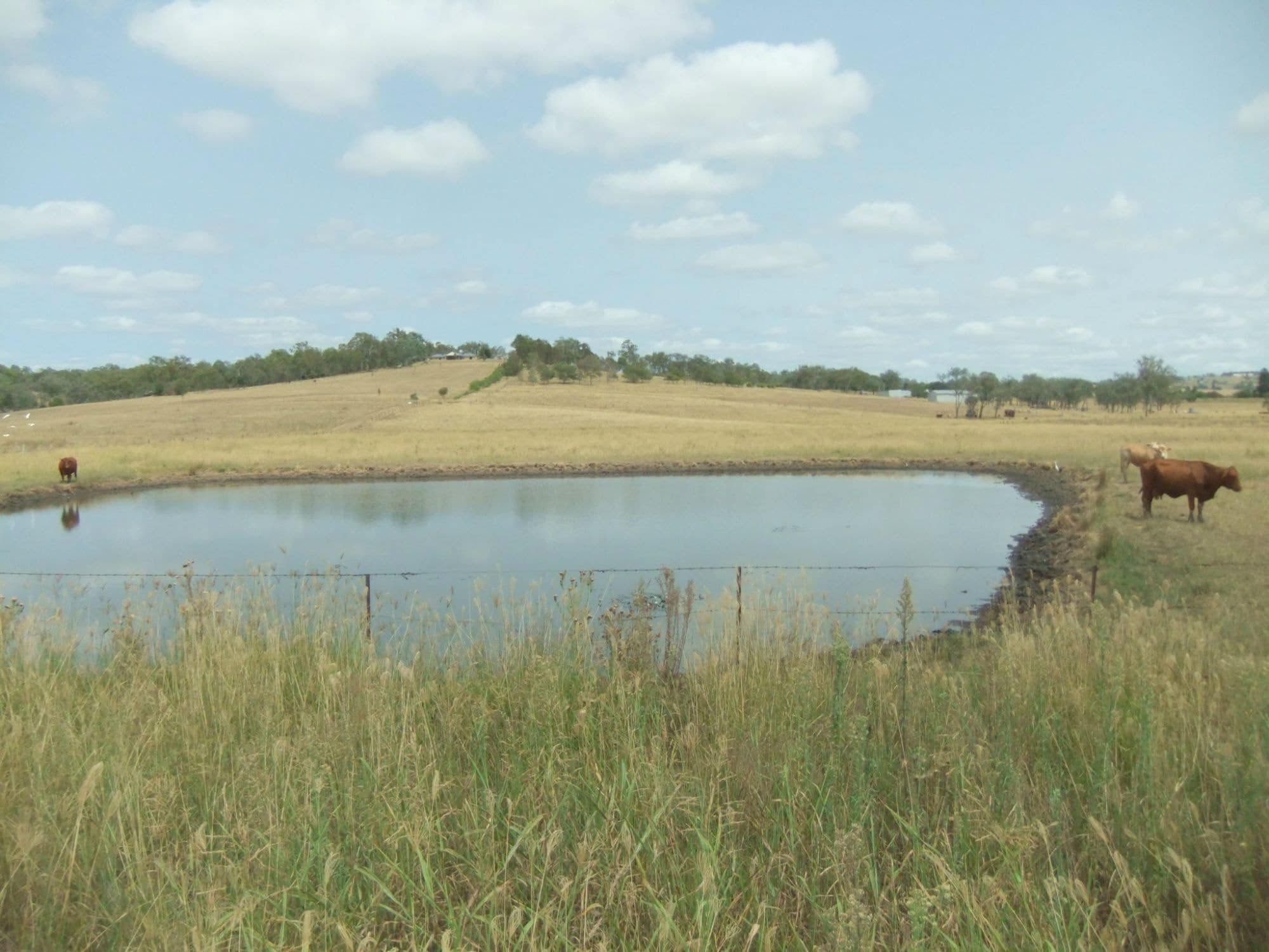 Lot 33 Ipswich Boonah Road, Boonah, Boonah - Thumbnail 7