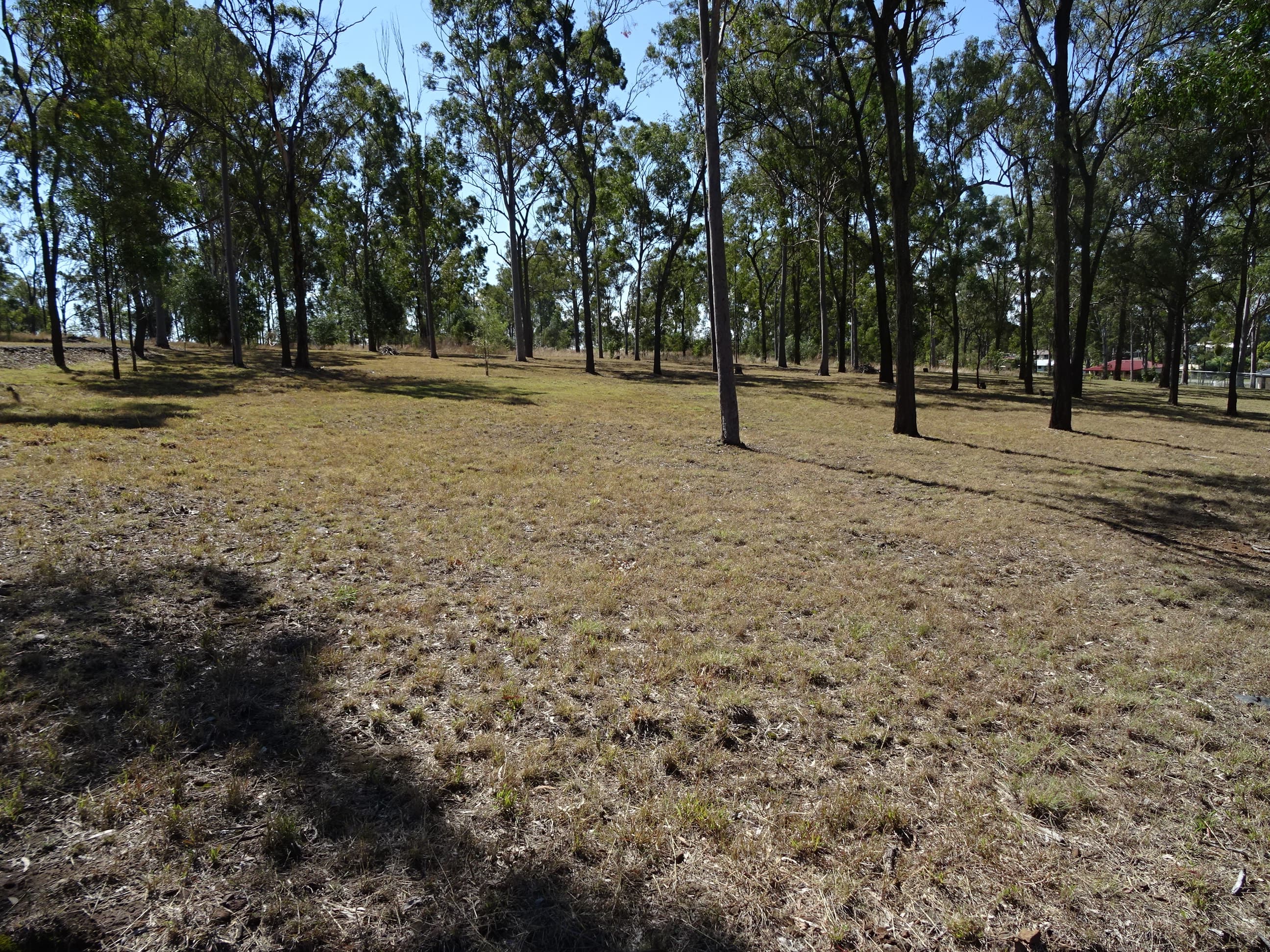 45 Duncan Dr, Aratula, Aratula - Thumbnail 4